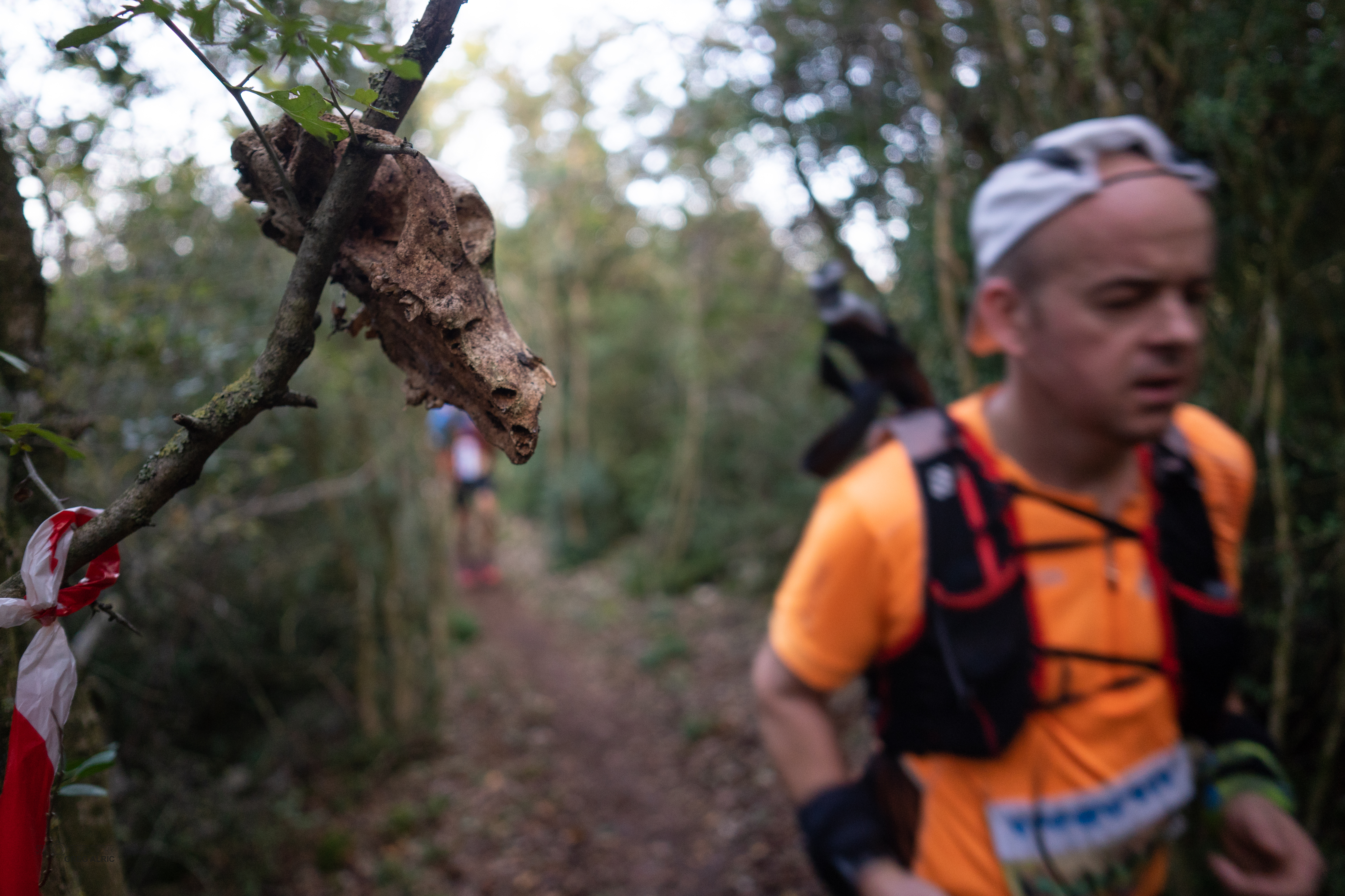 Festival des Templiers 2018