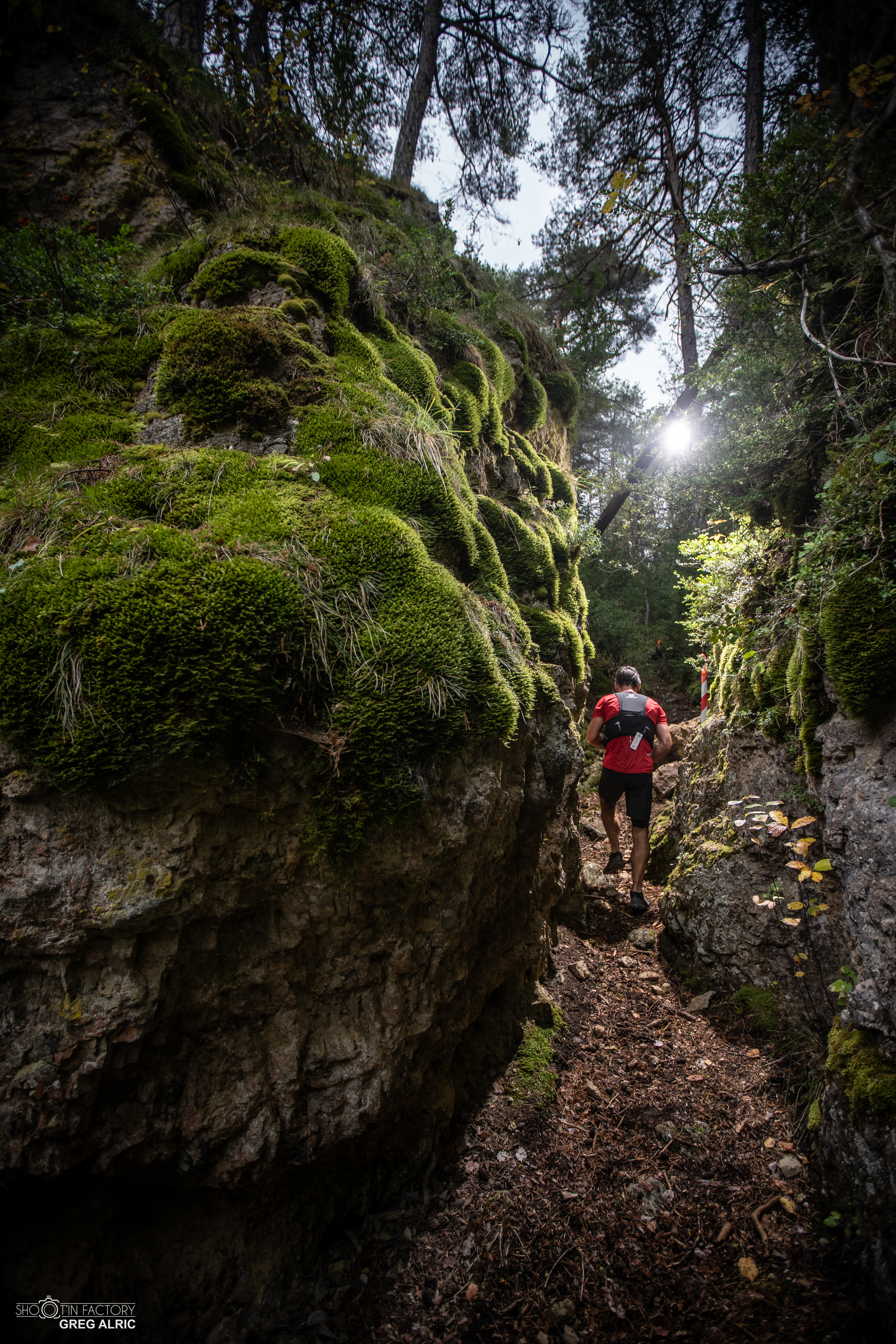 Festival des Templiers 2019