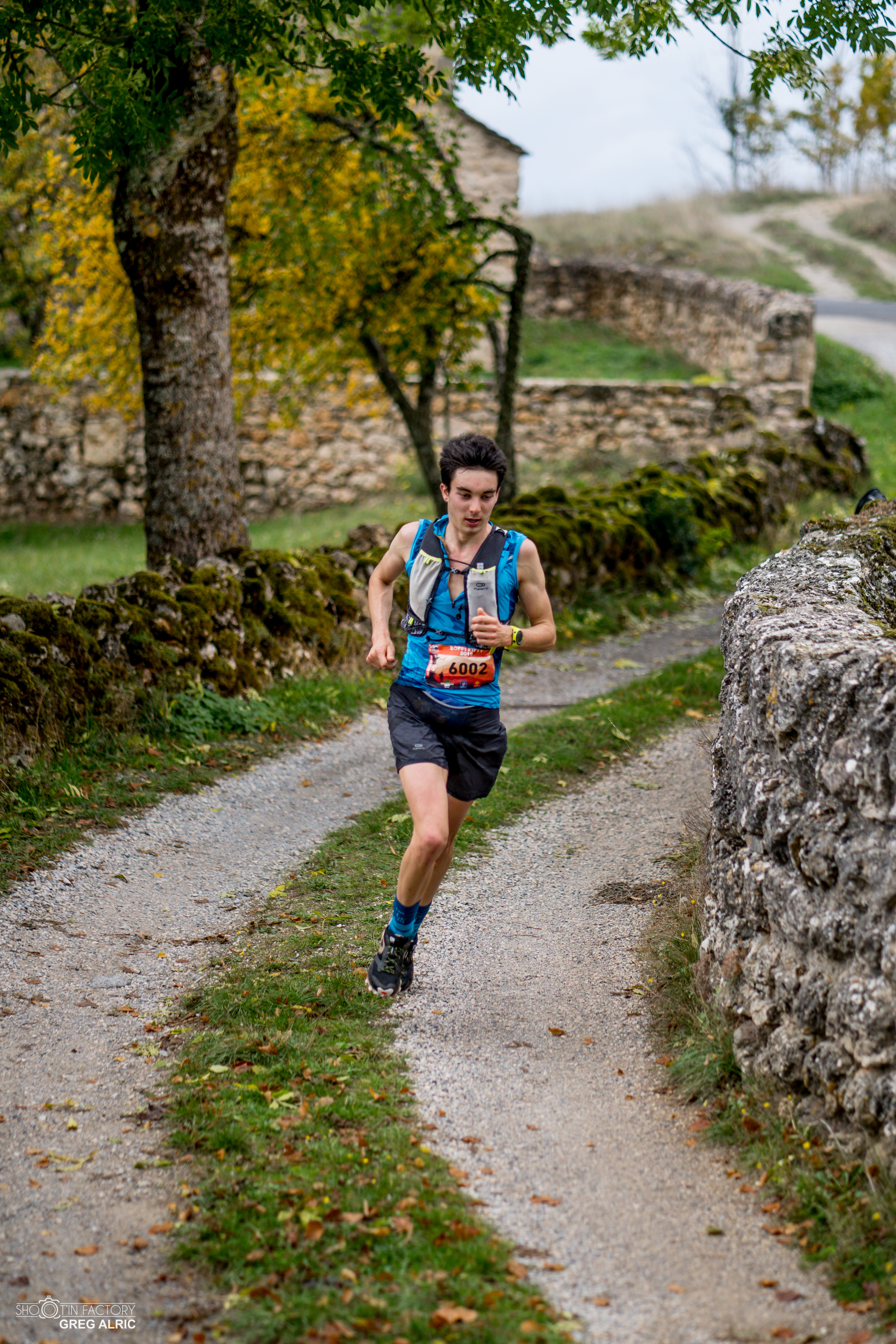 Festival des Templiers 2019