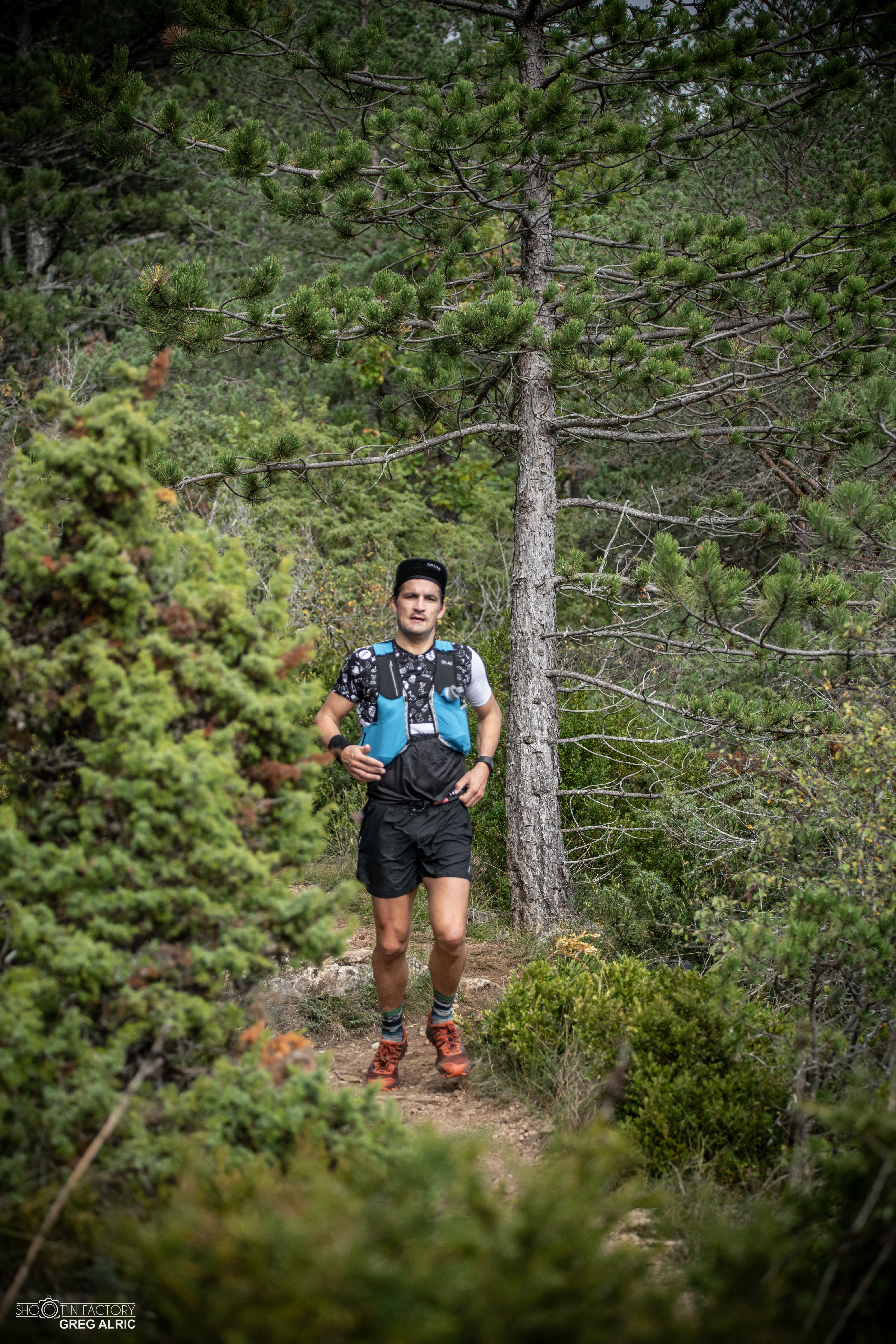 Festival des Templiers 2019