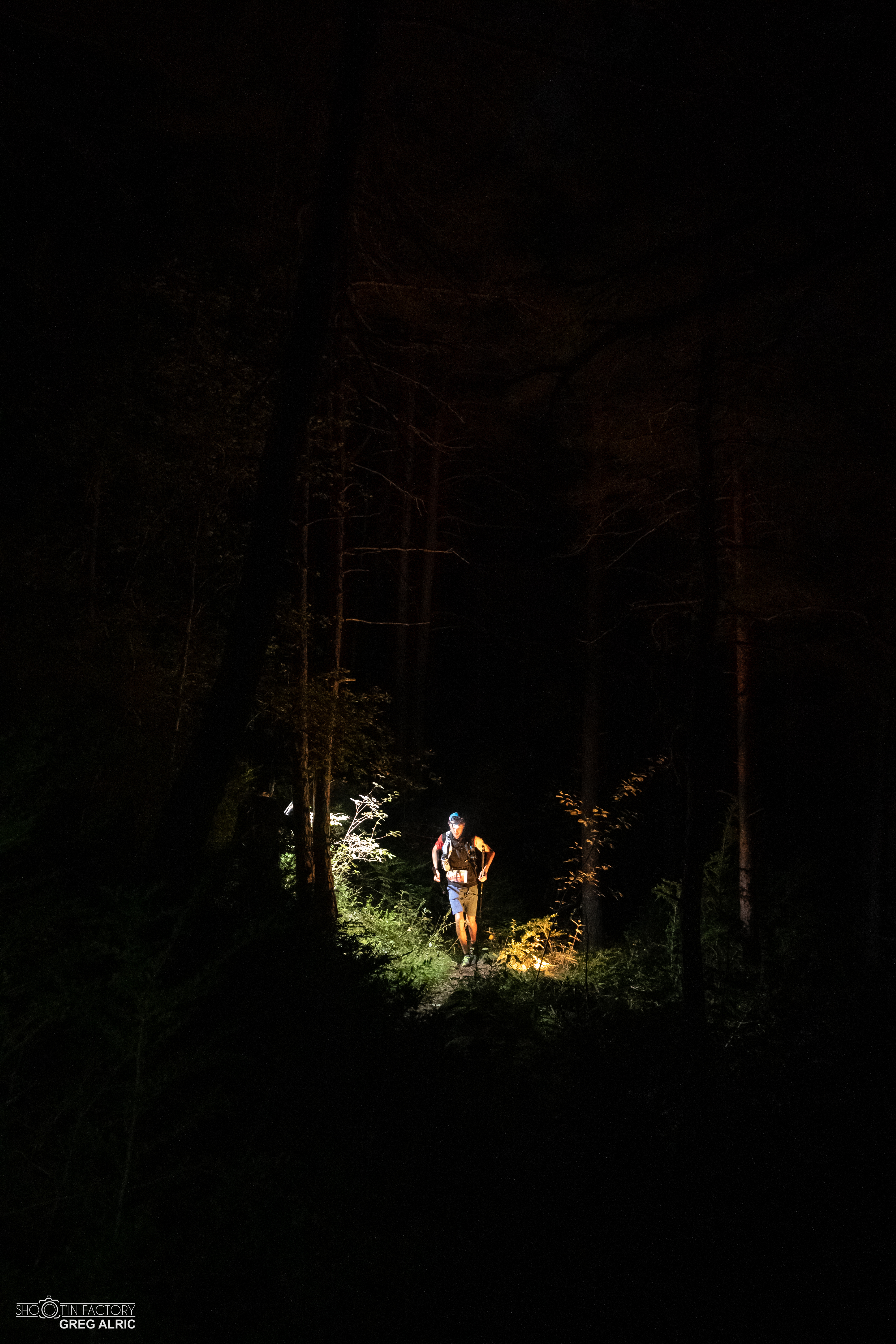Festival des Templiers 2019