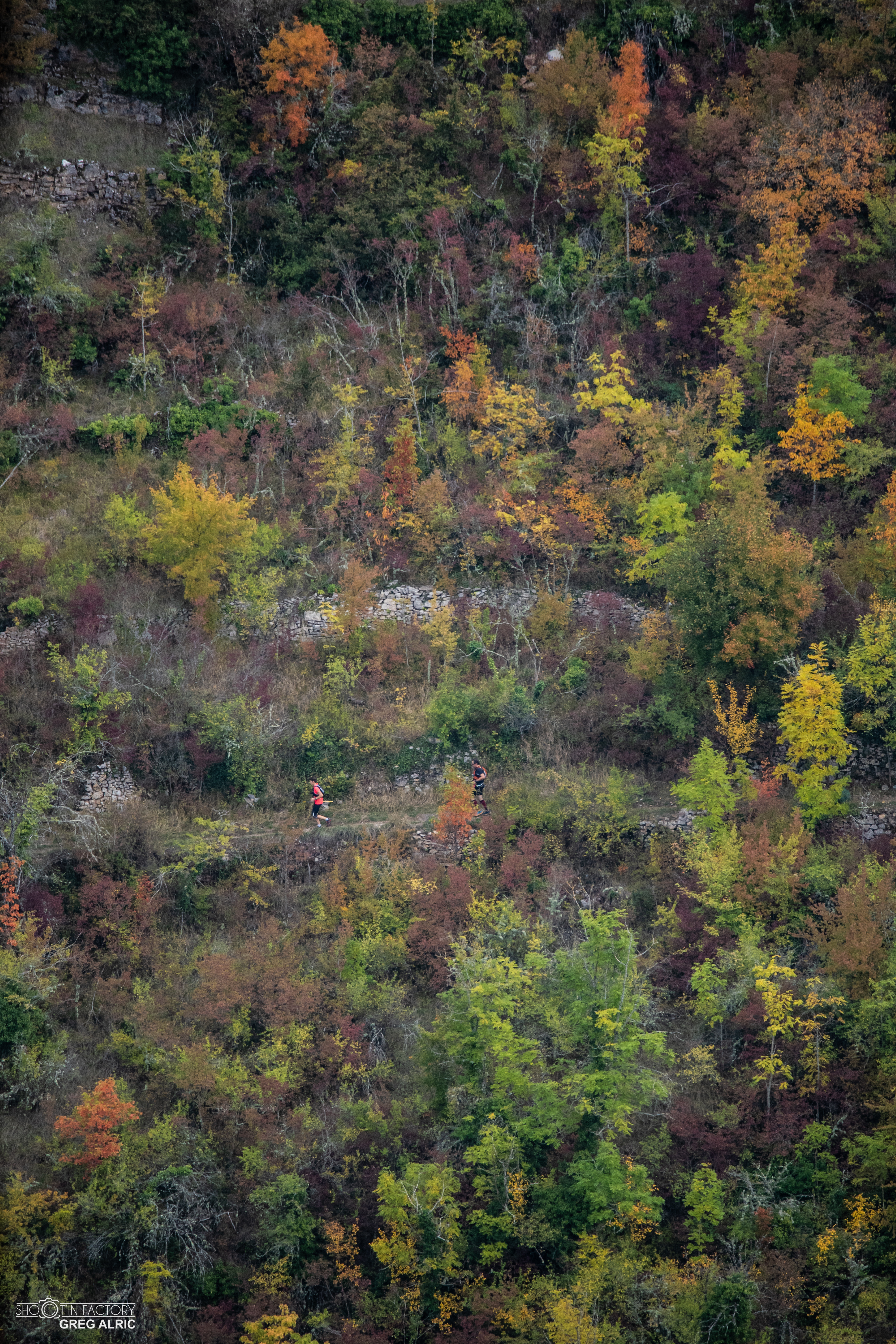 Festival des Templiers 2019