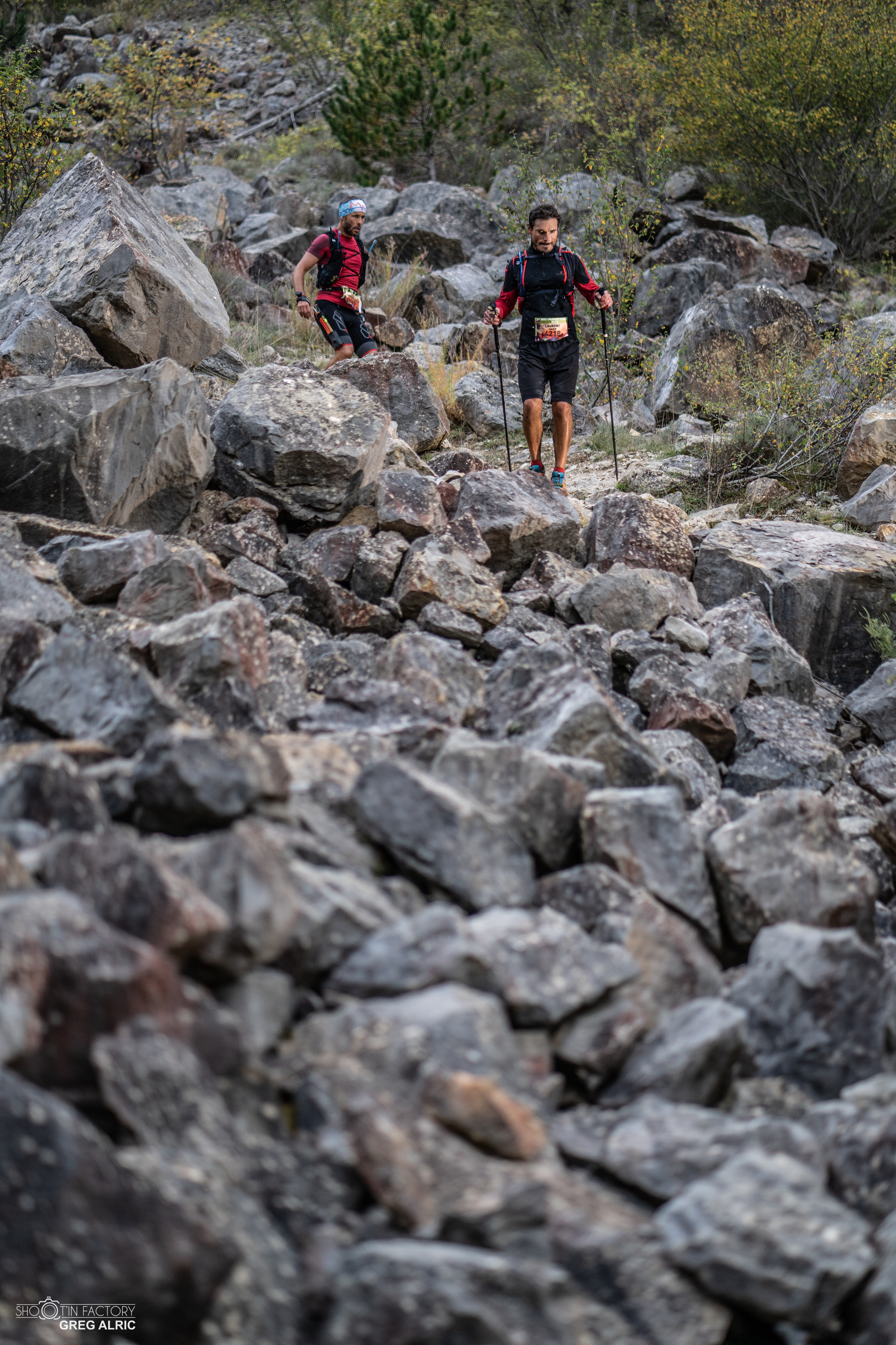 Festival des Templiers 2019