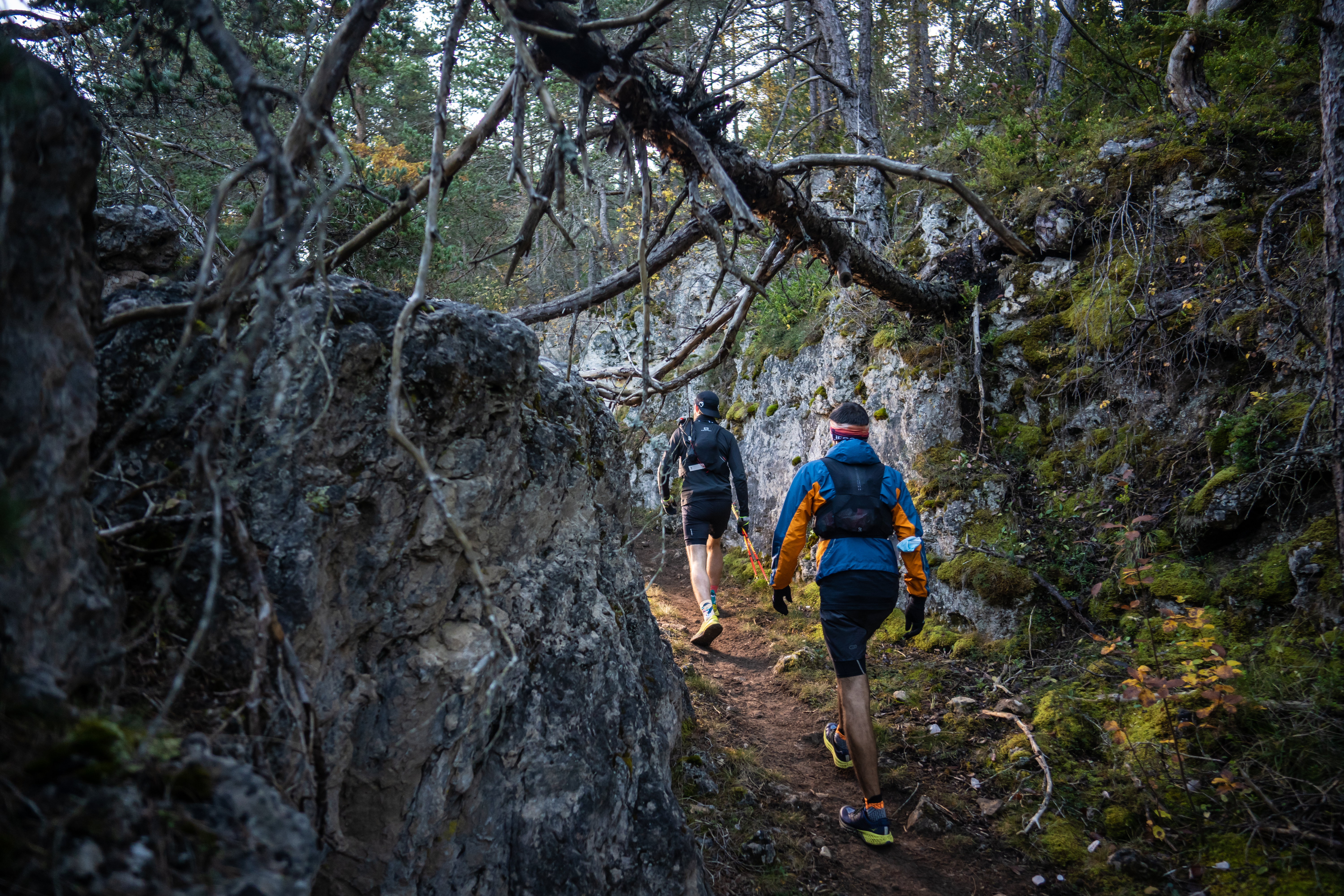 Festival des Templiers 2021