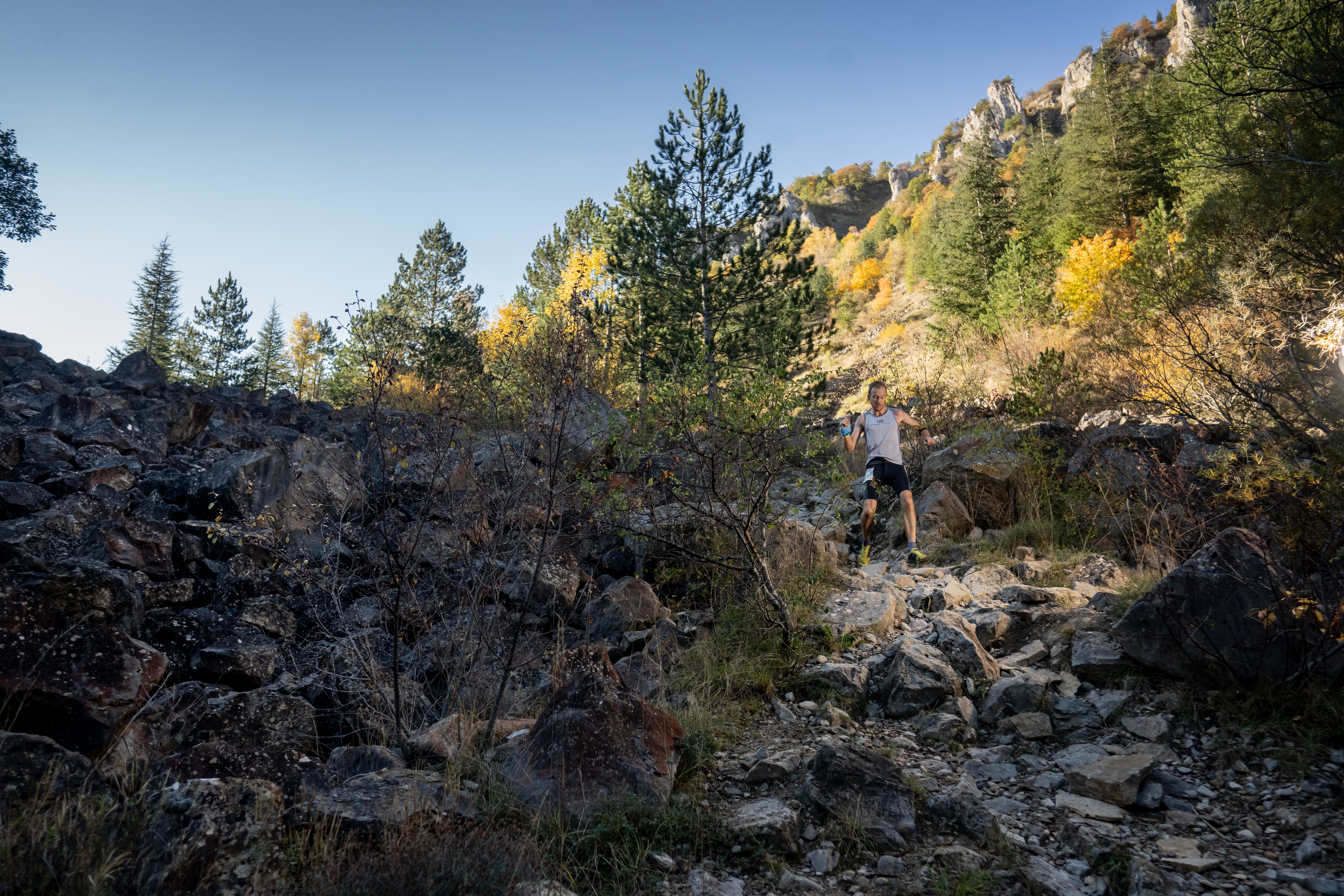 Festival des Templiers 2021