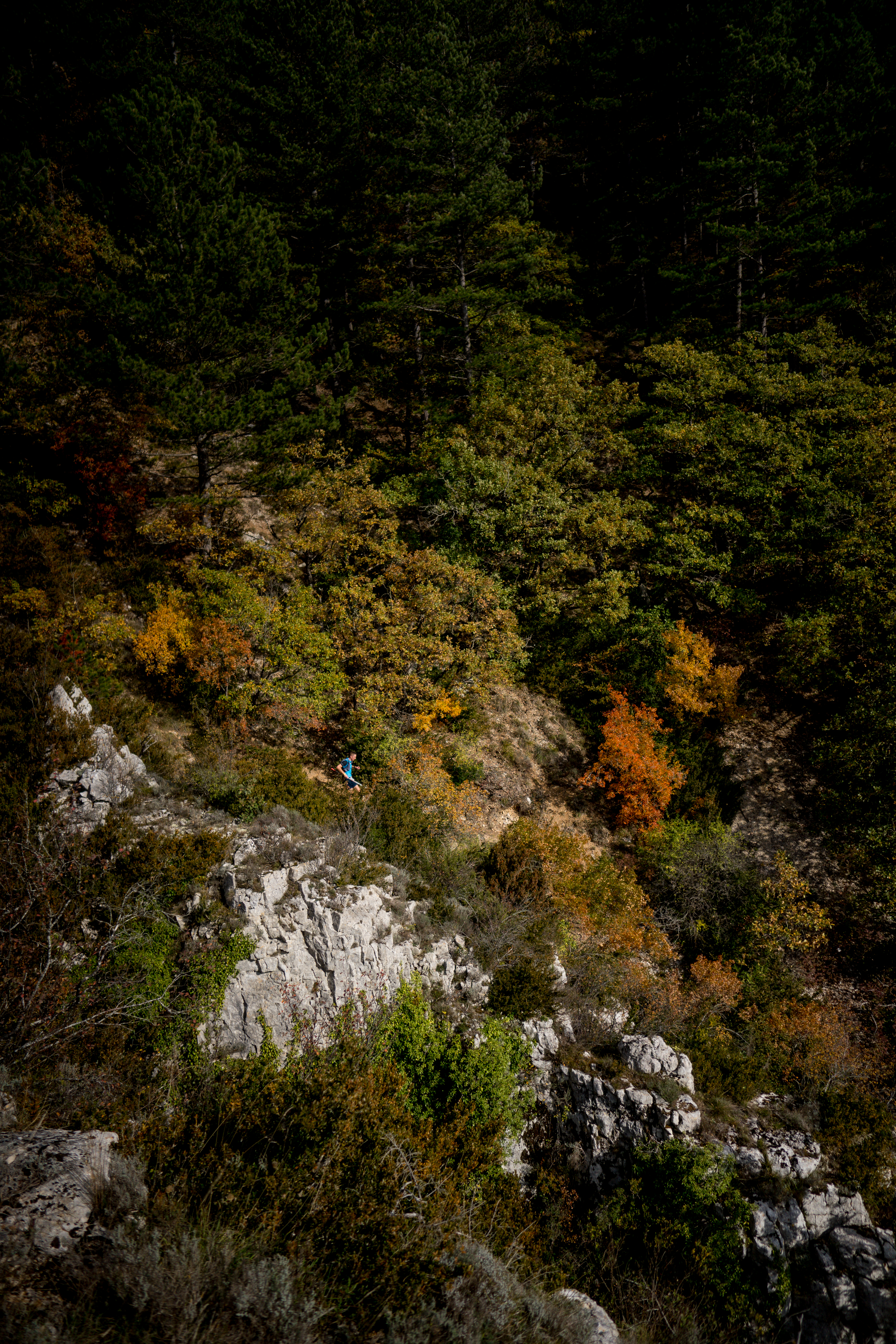 Festival des Templiers 2021