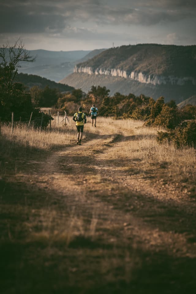 Festival des Templiers 2021