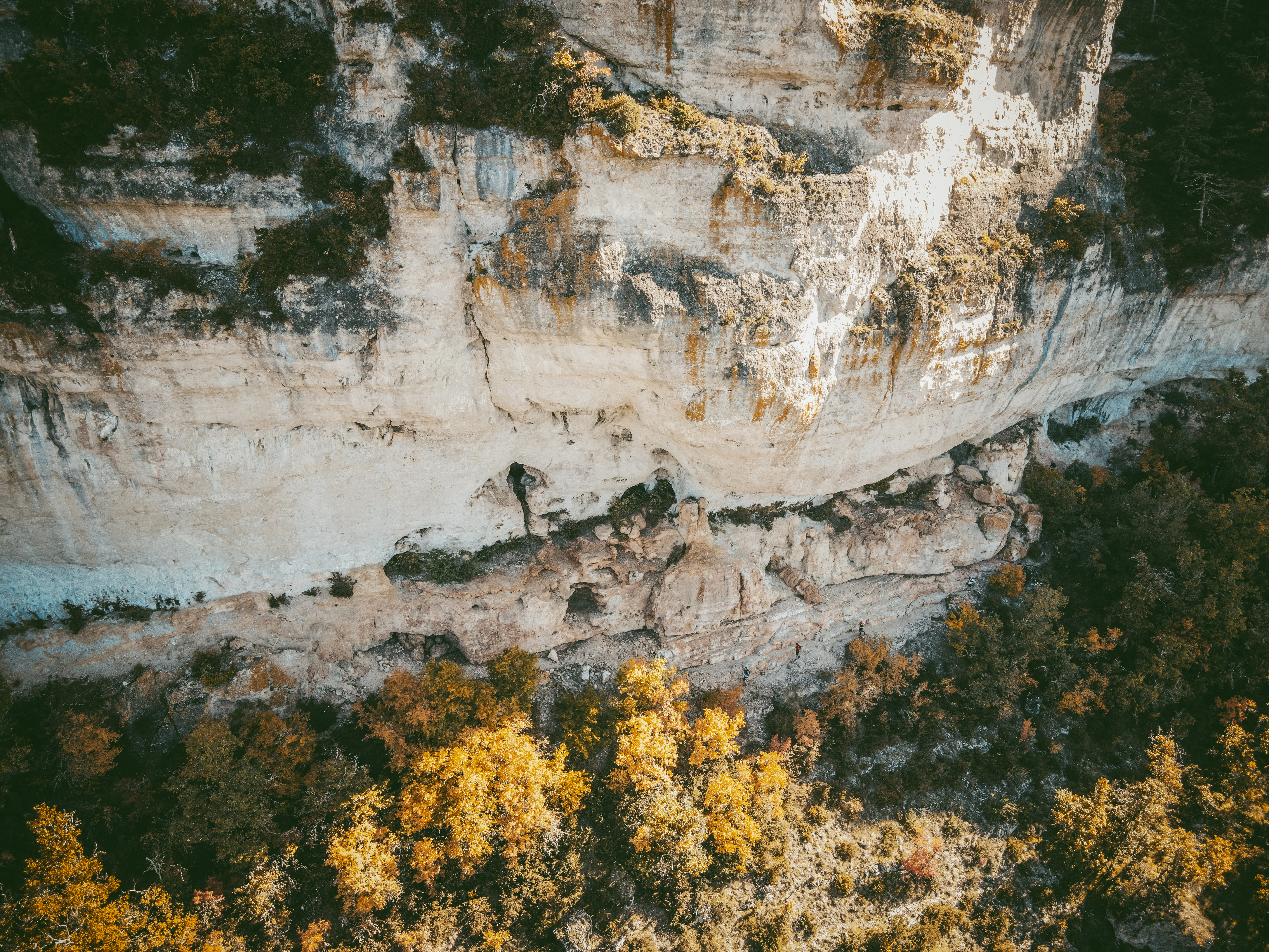 Festival des Templiers 2021