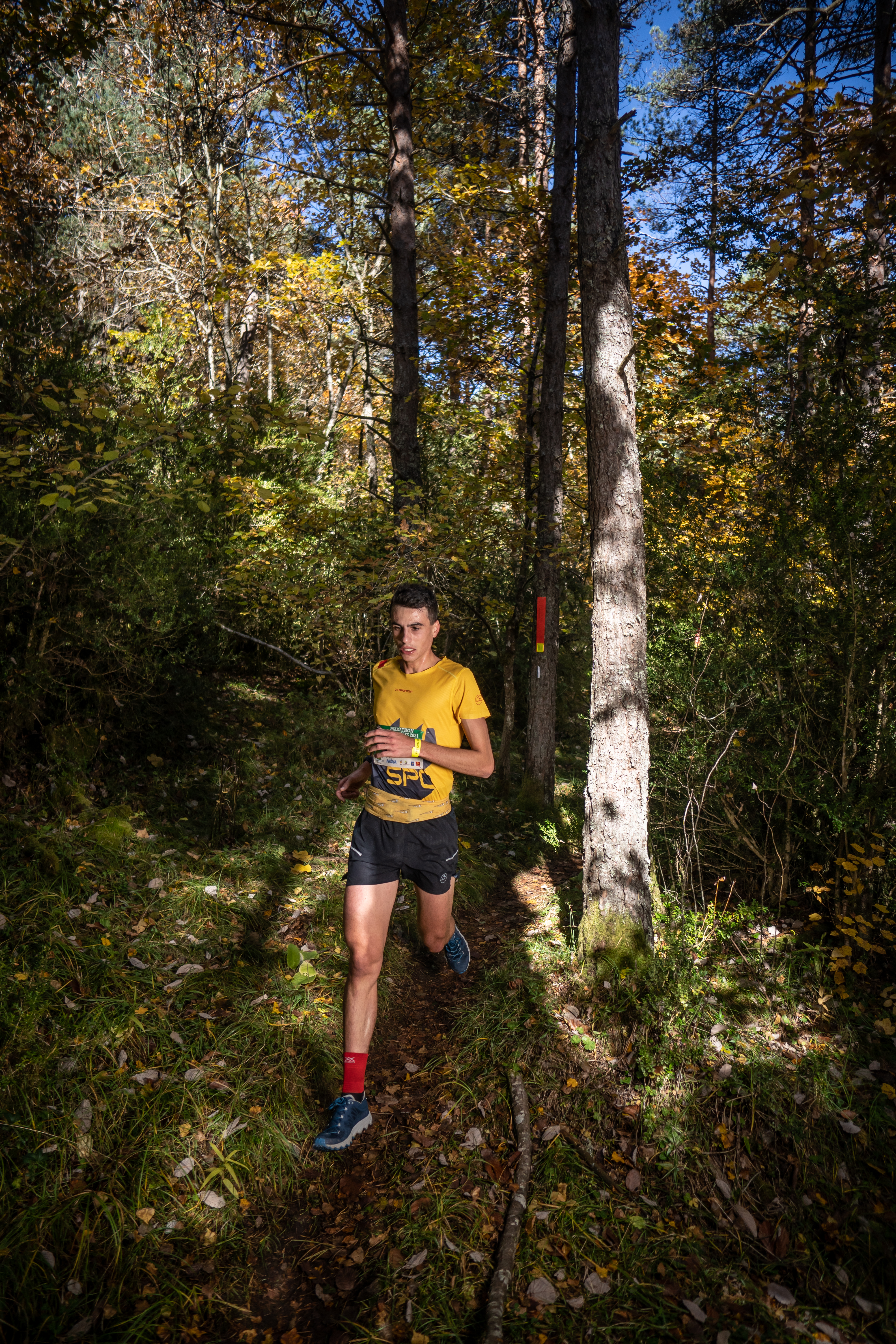 Festival des Templiers 2021