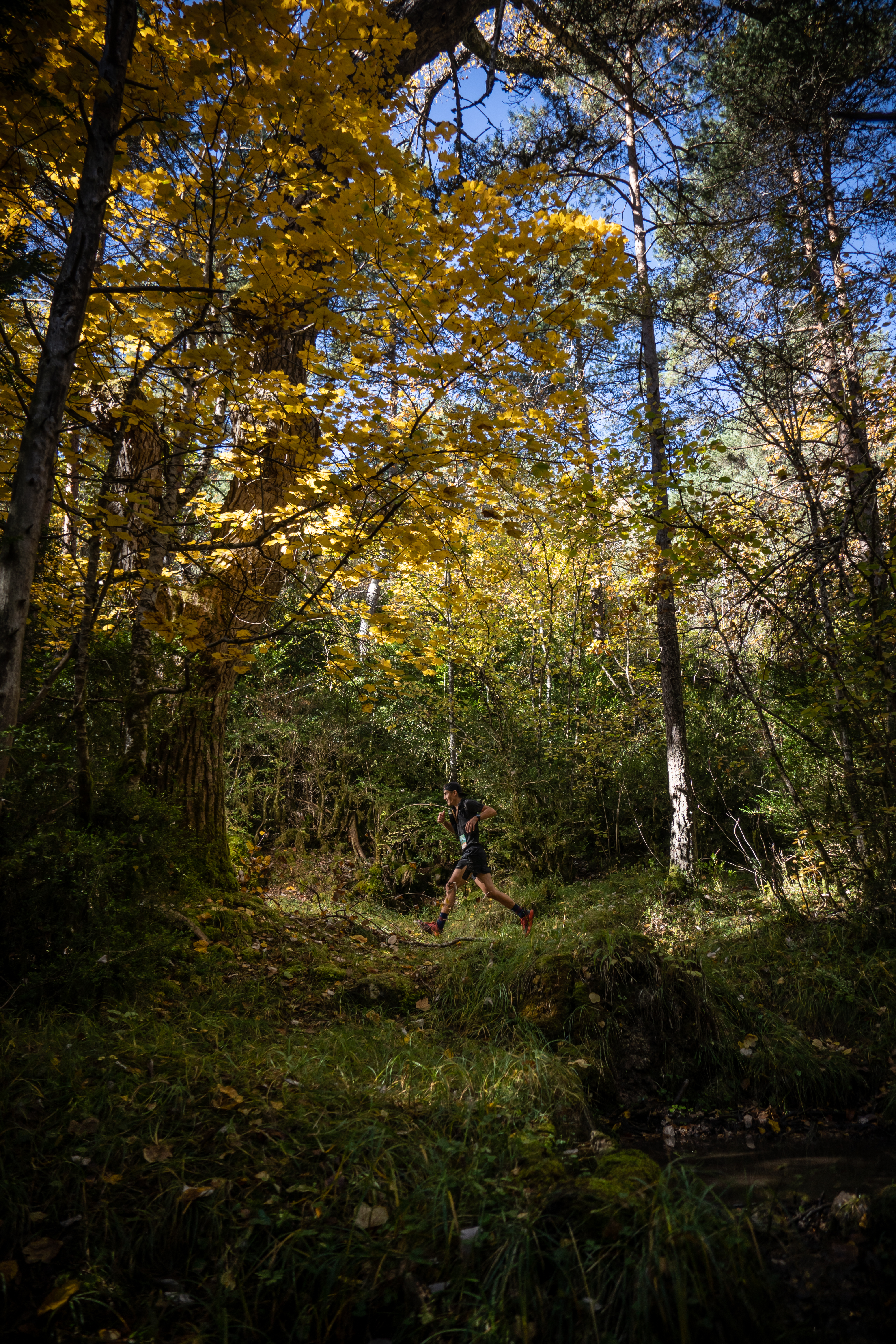 Festival des Templiers 2021