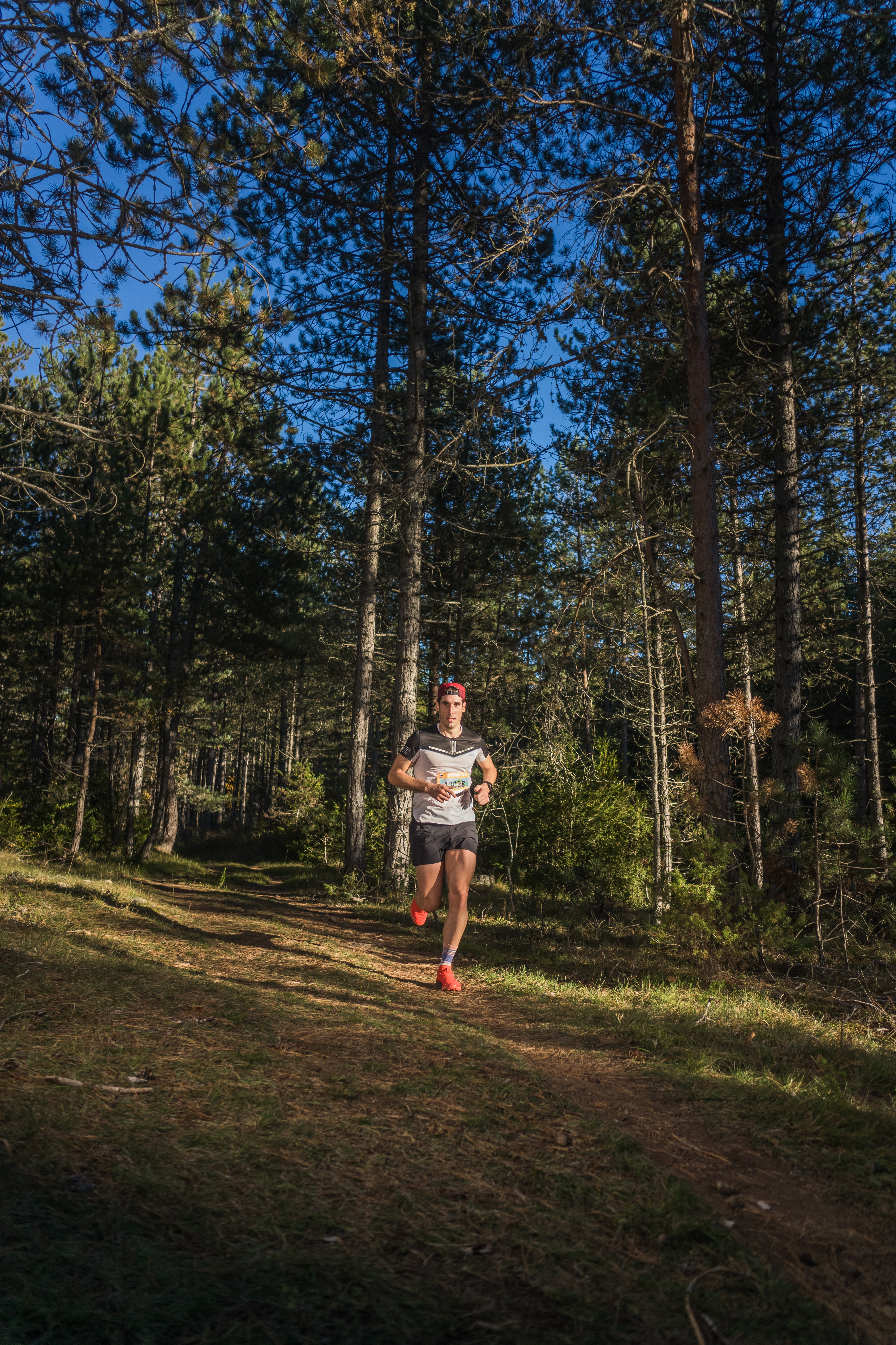 Festival des Templiers 2021