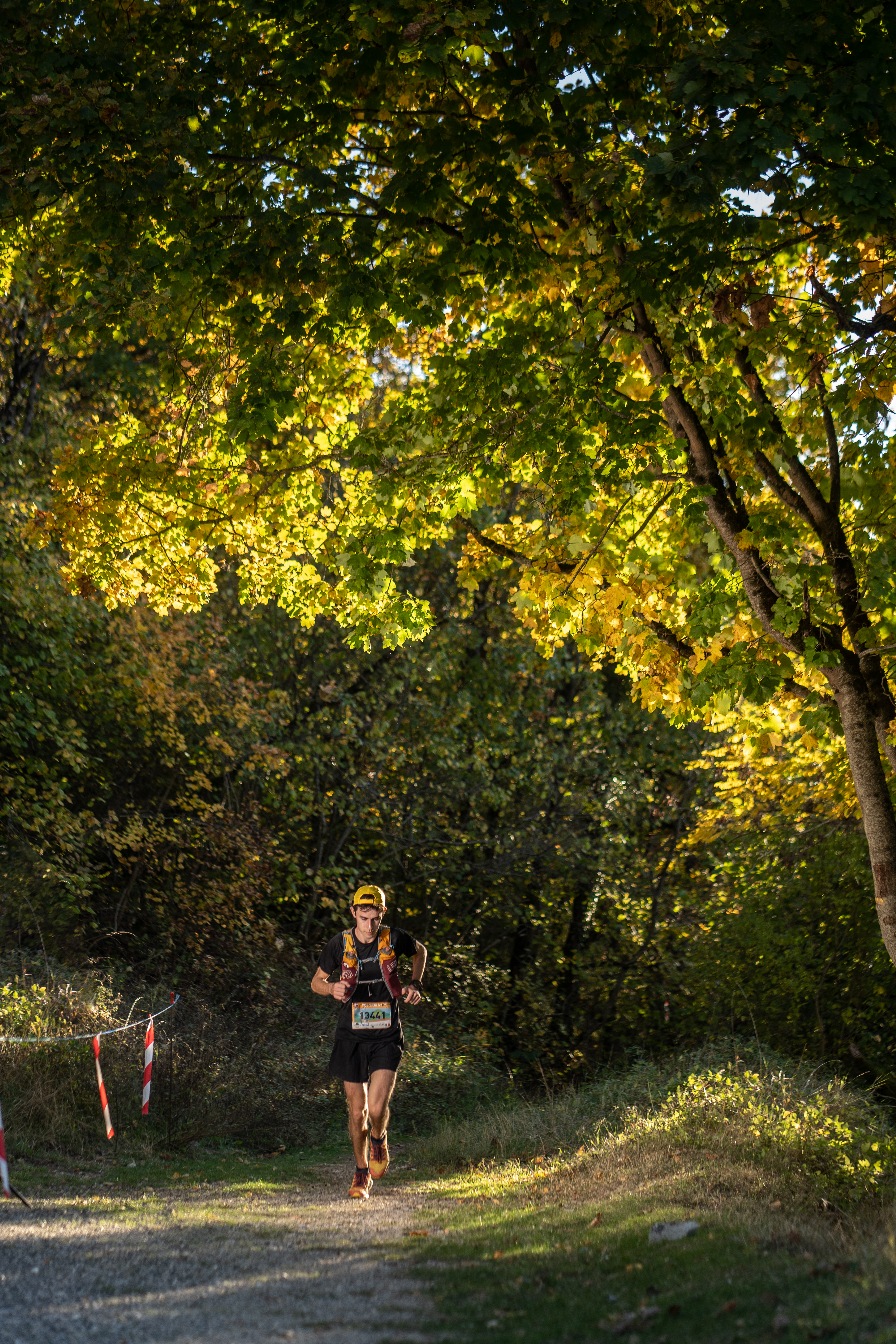 Festival des Templiers 2021
