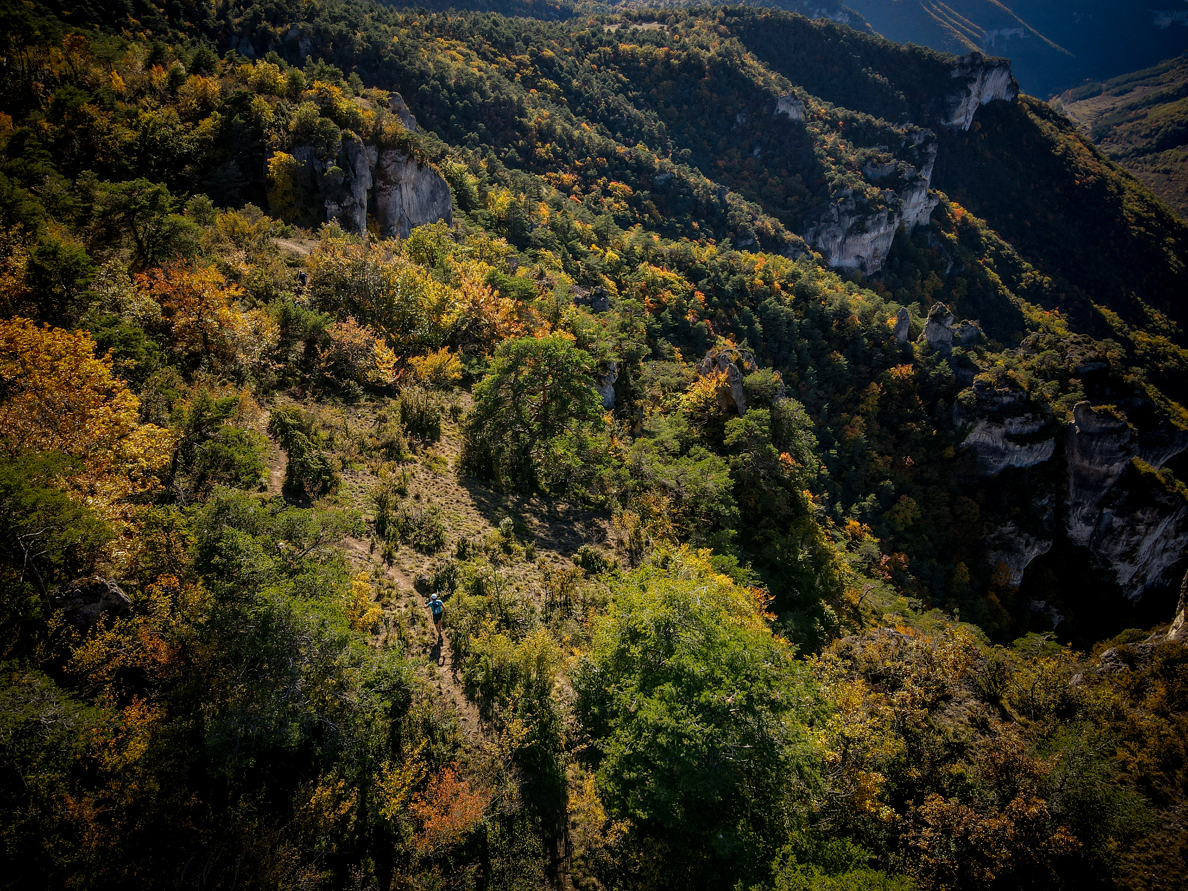Festival des Templiers 2021
