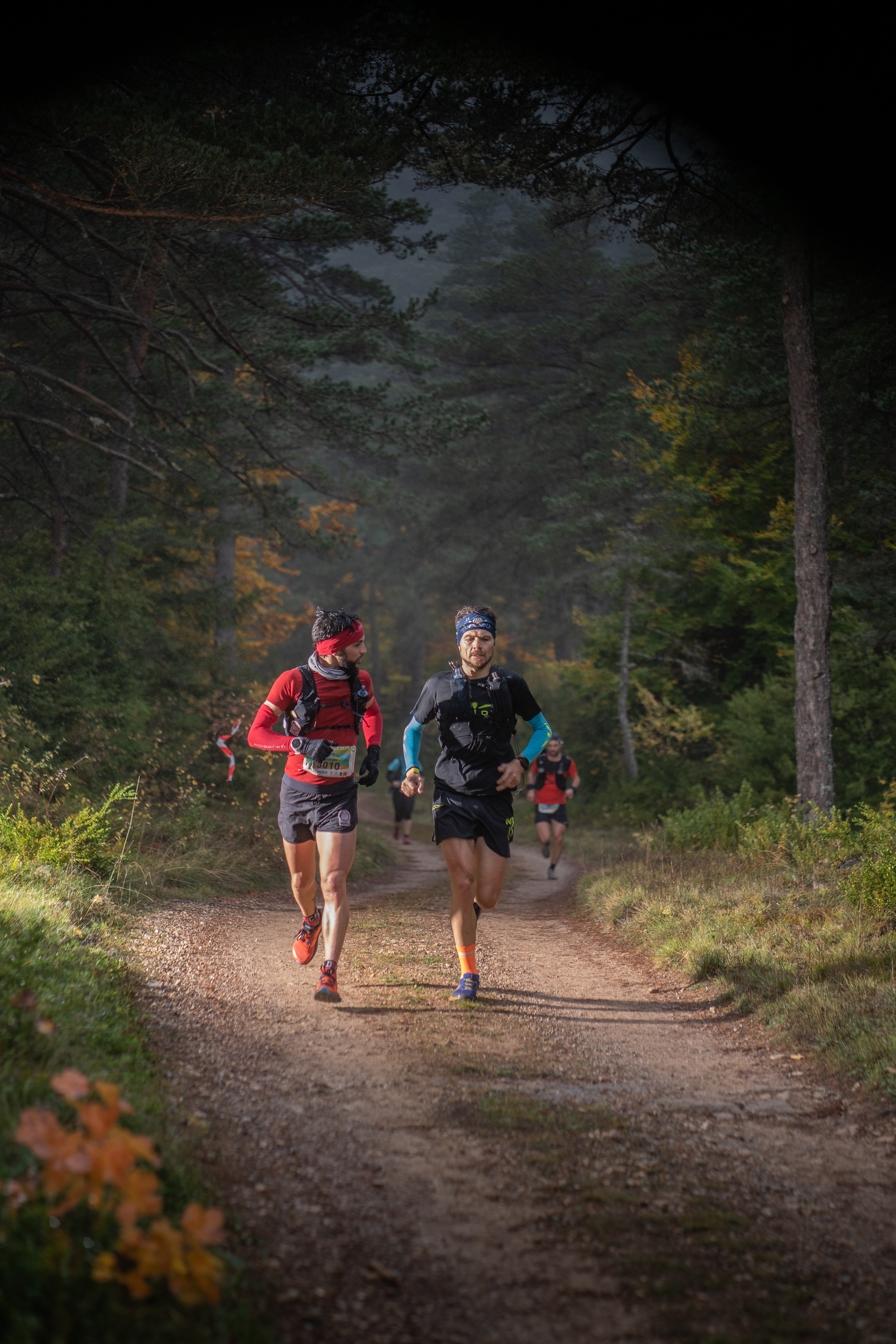 Festival des Templiers 2021