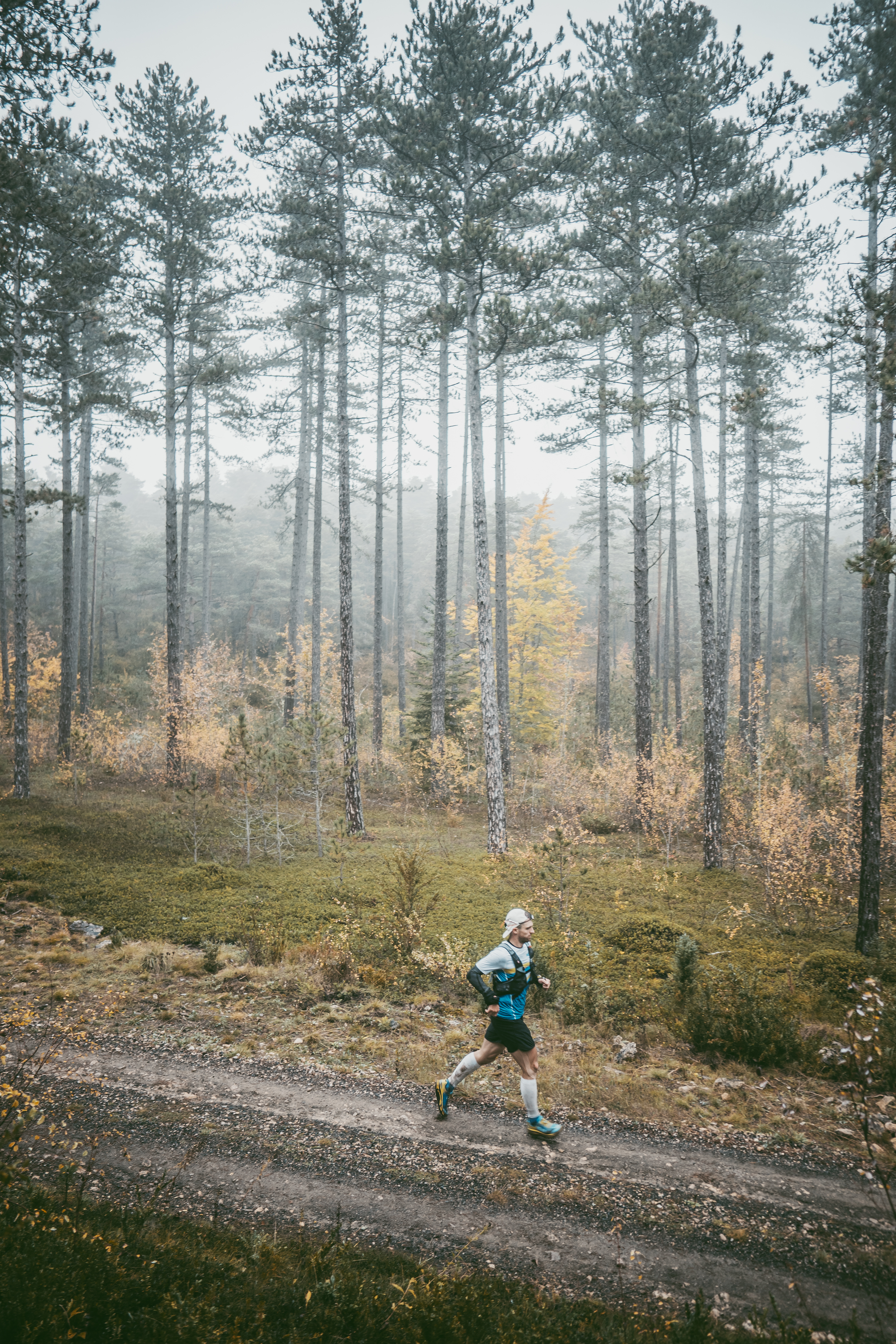 Festival des Templiers 2021