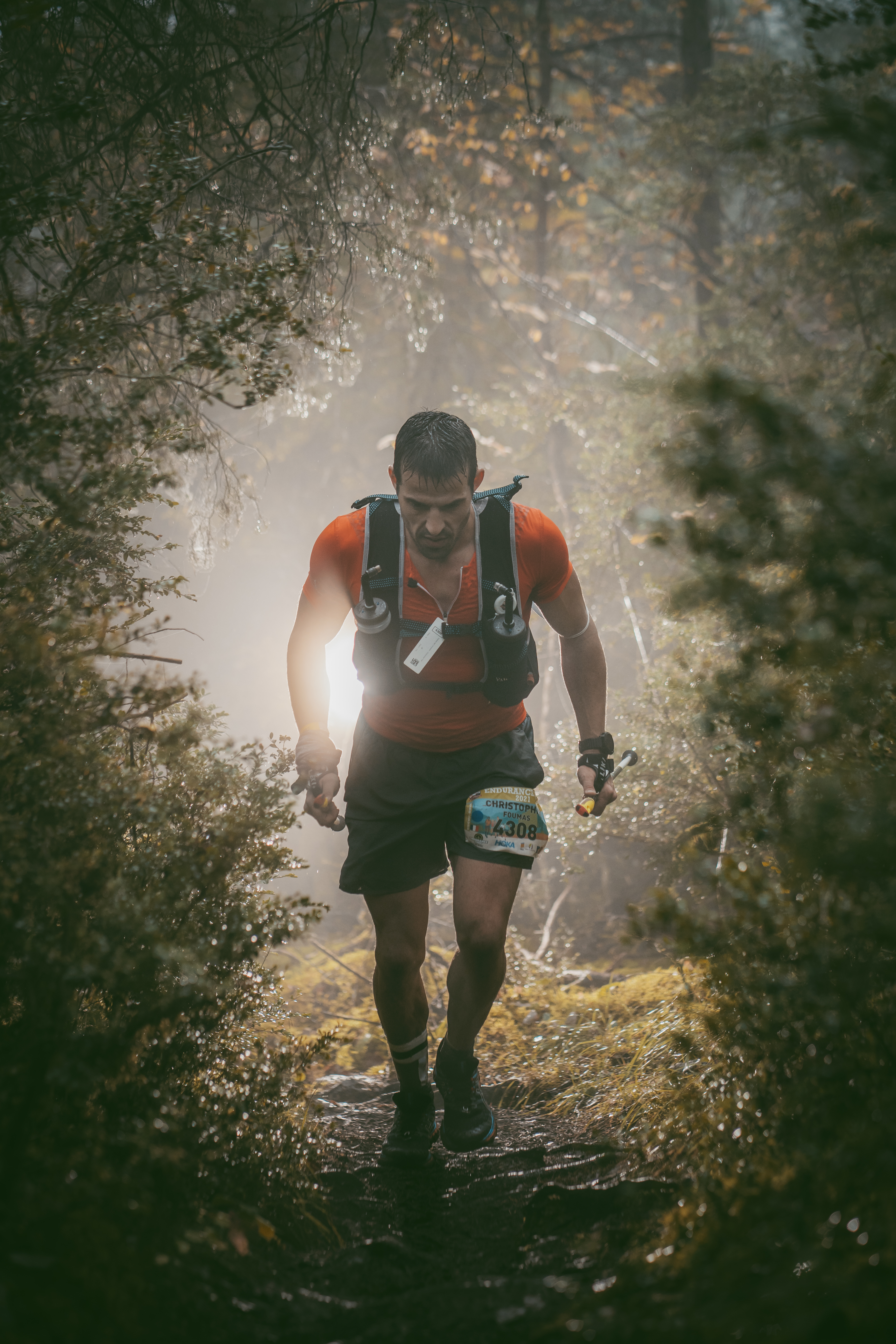 Festival des Templiers 2021