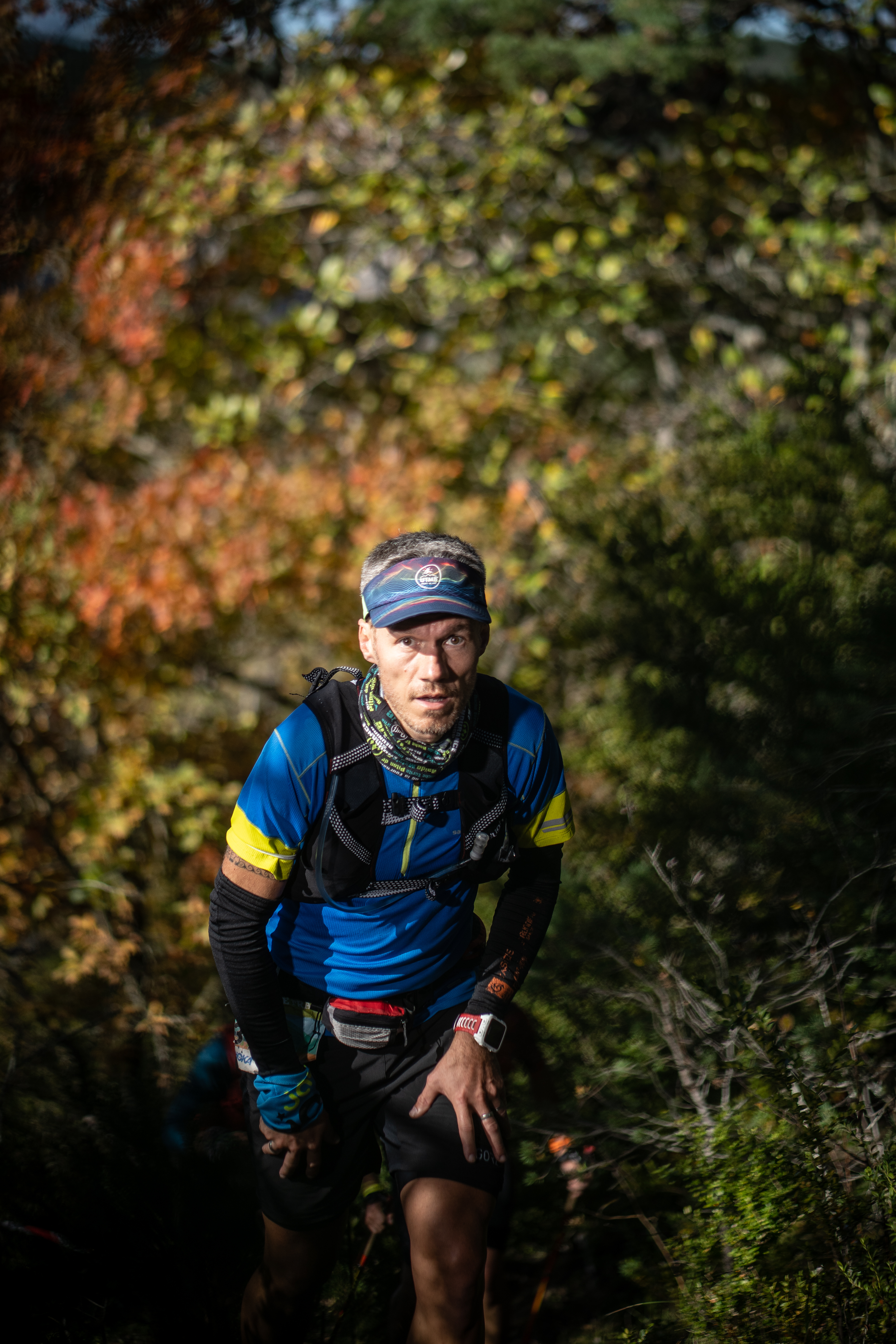 Festival des Templiers 2021