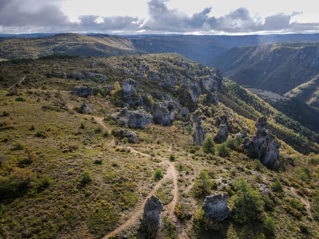Festival des Templiers 2021