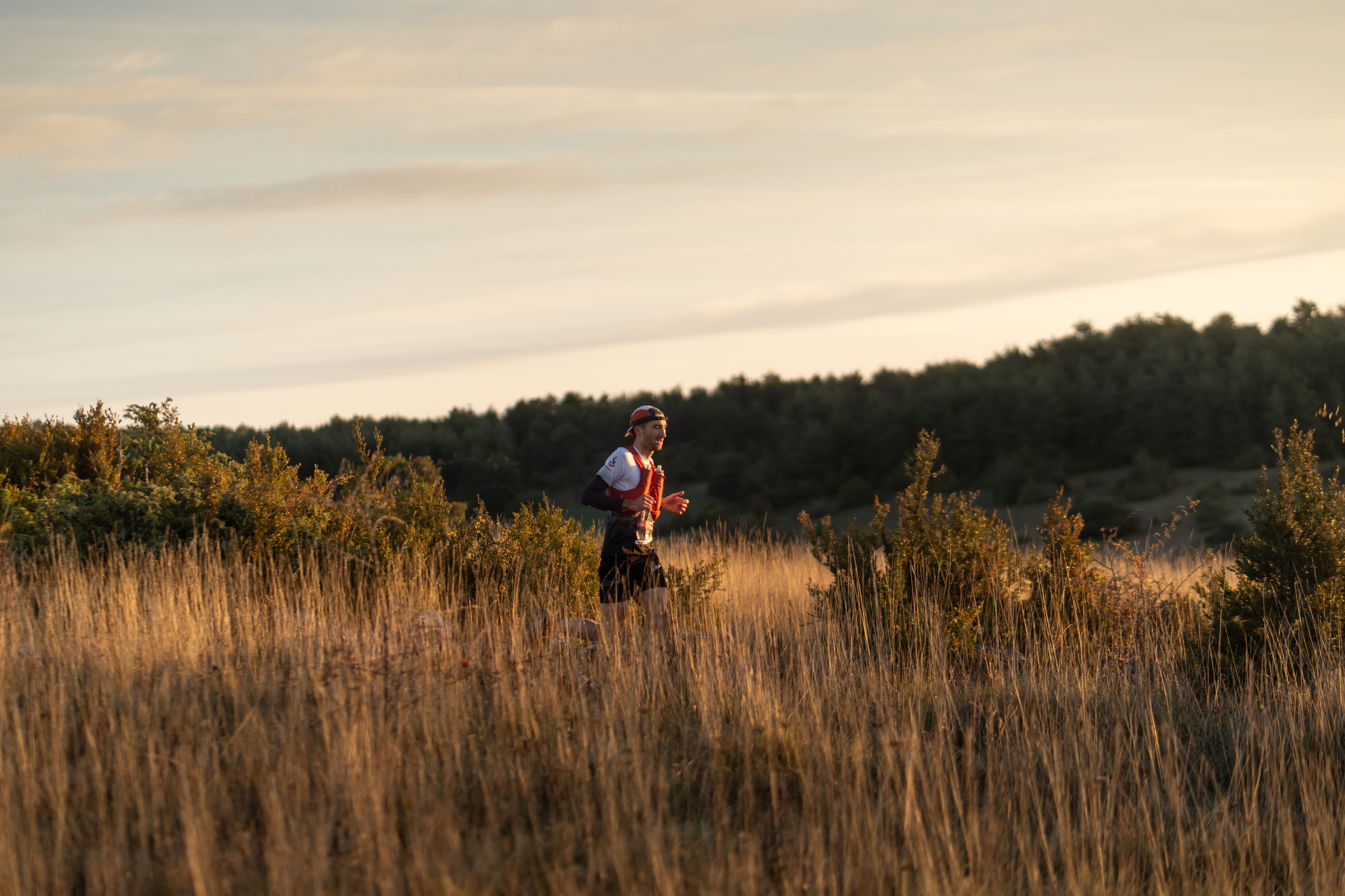 Festival des Templiers 2024