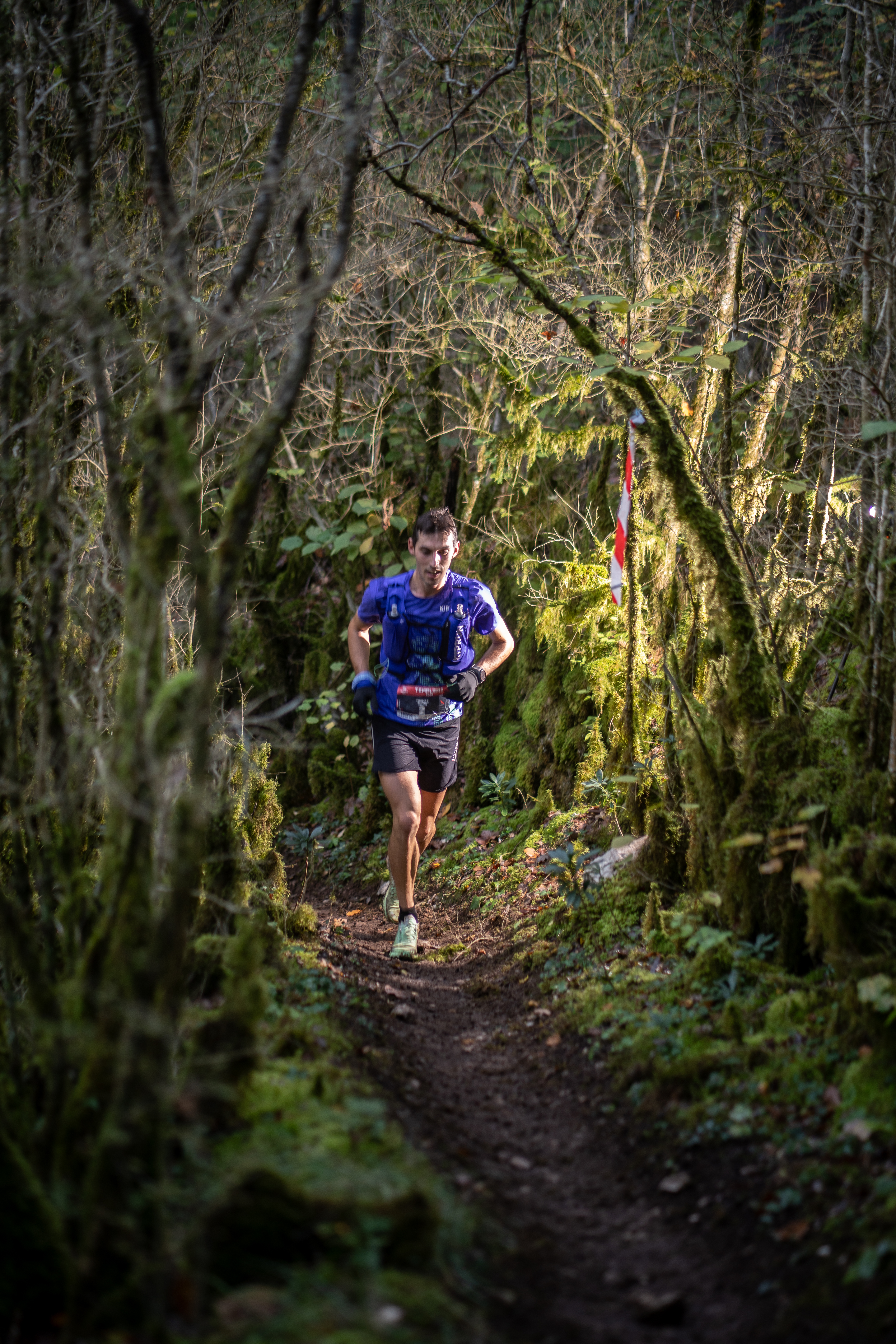 Festival des Templiers 2024