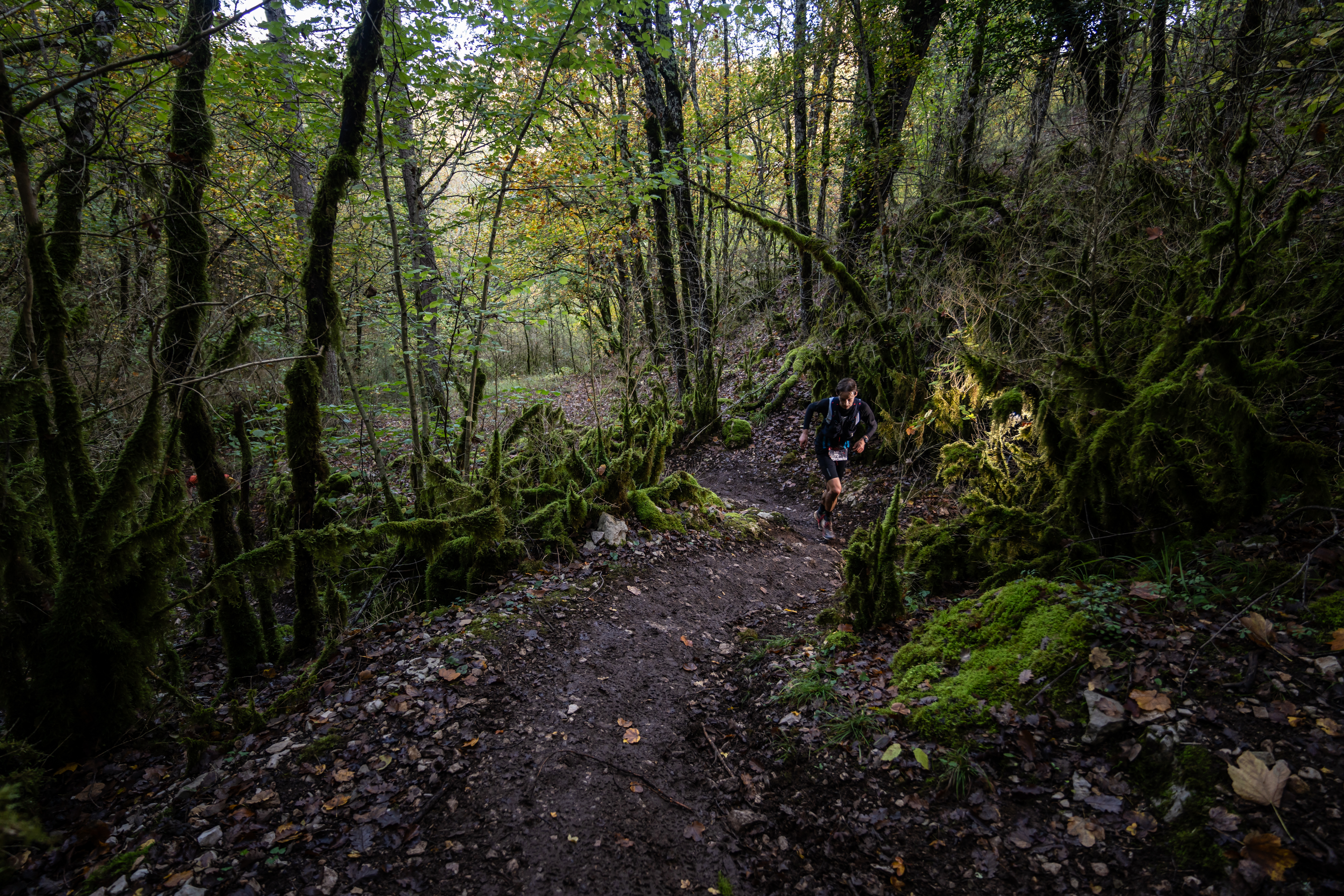 Festival des Templiers 2024
