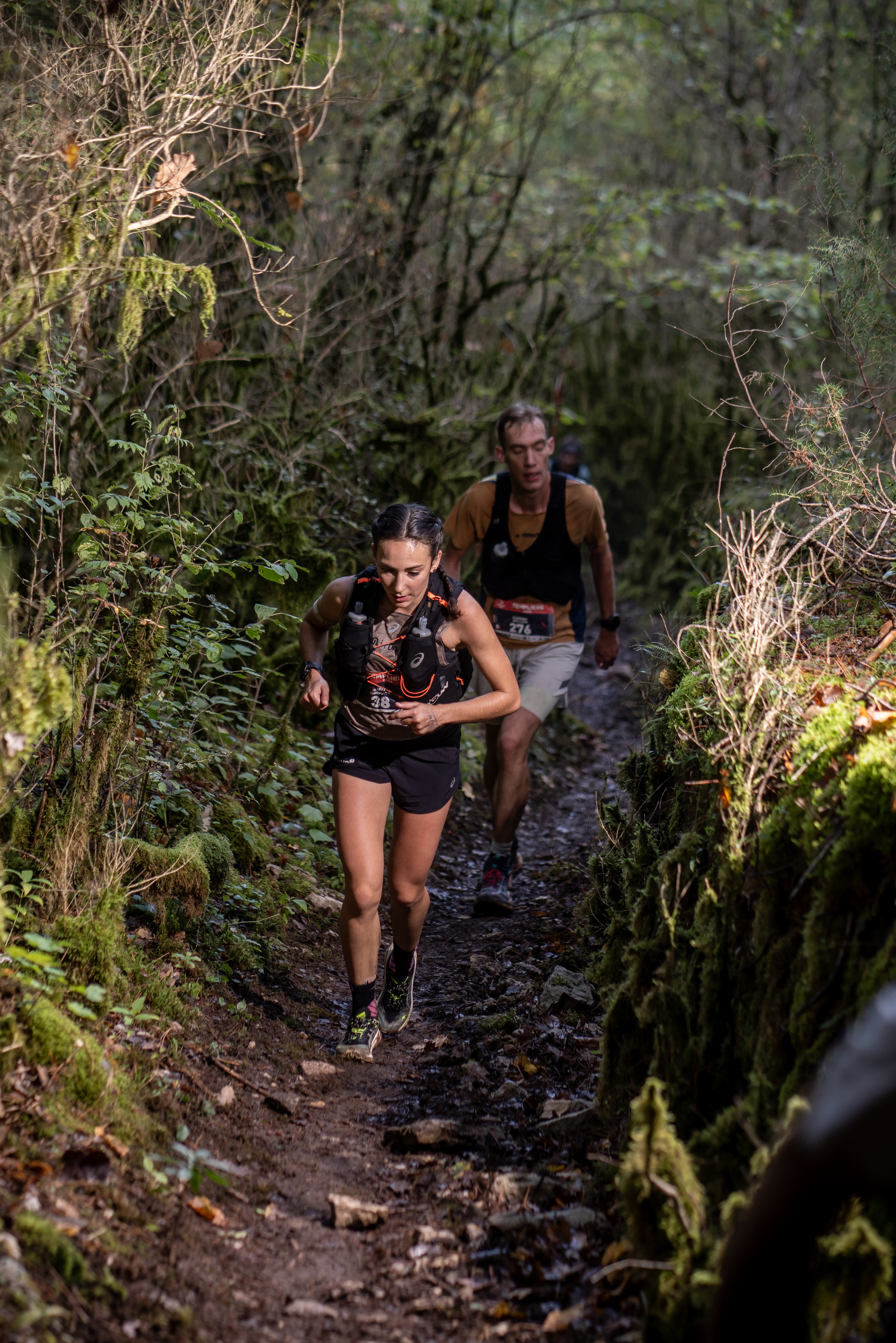 Festival des Templiers 2024
