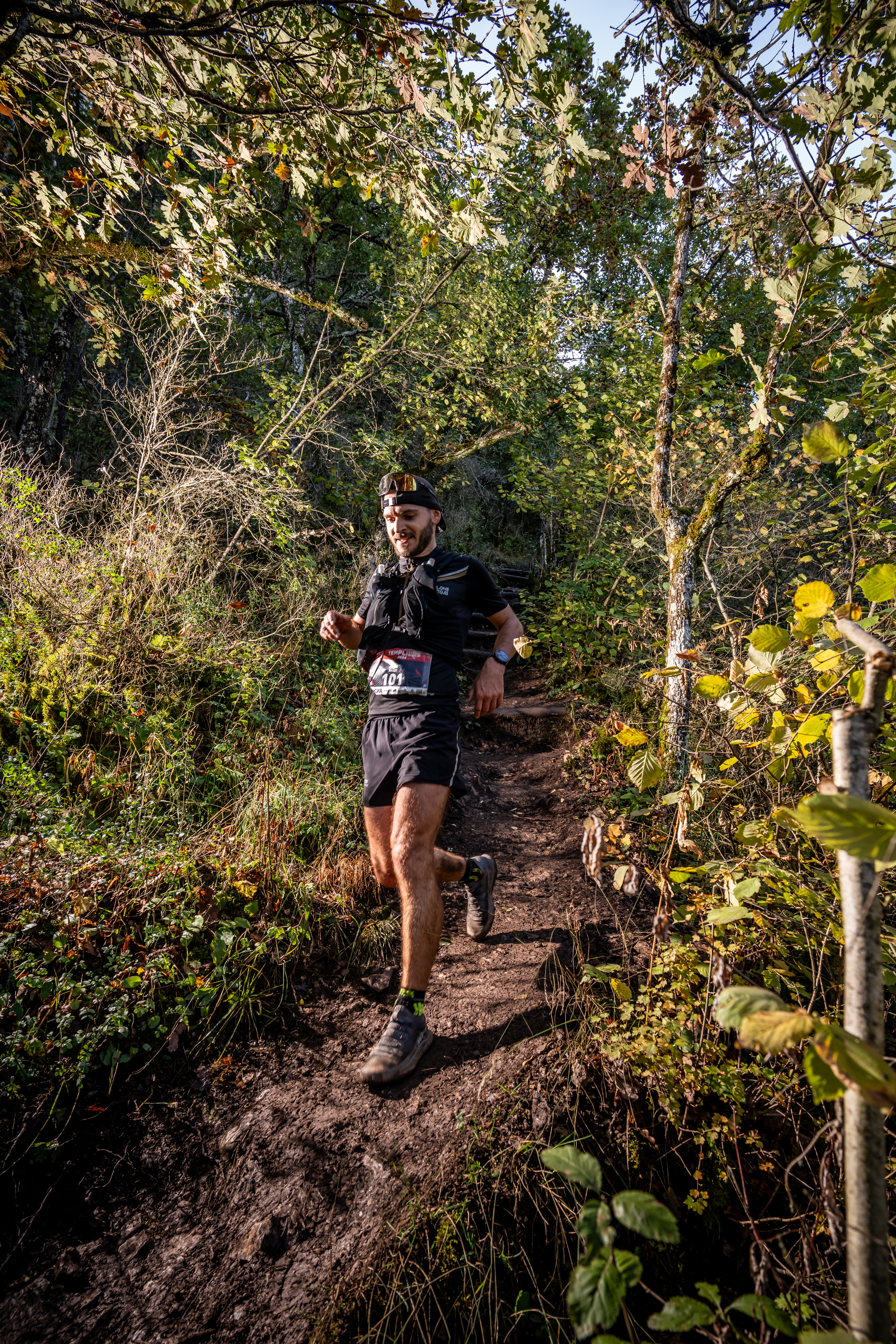 Festival des Templiers 2024