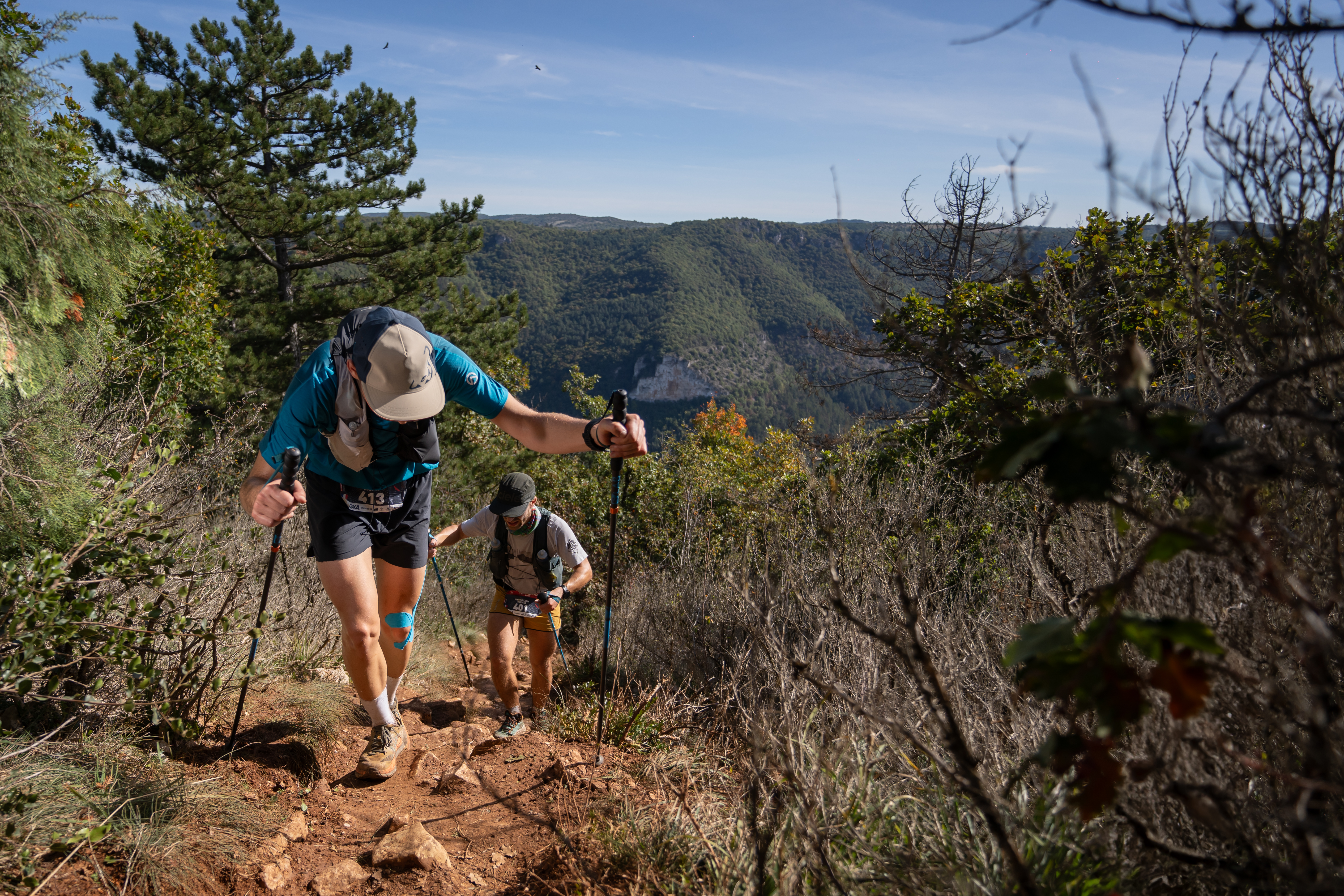 Festival des Templiers 2024