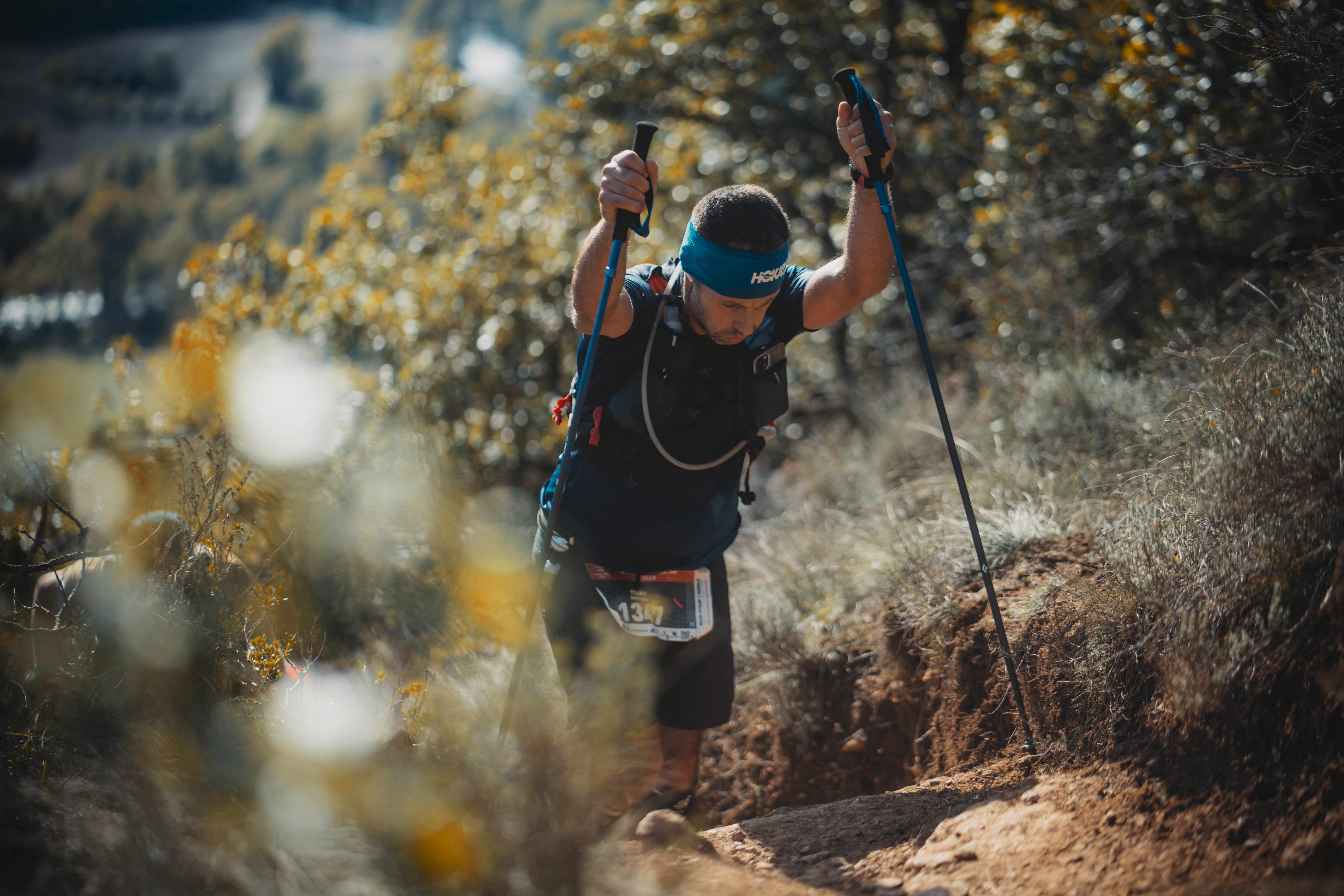 Festival des Templiers 2024