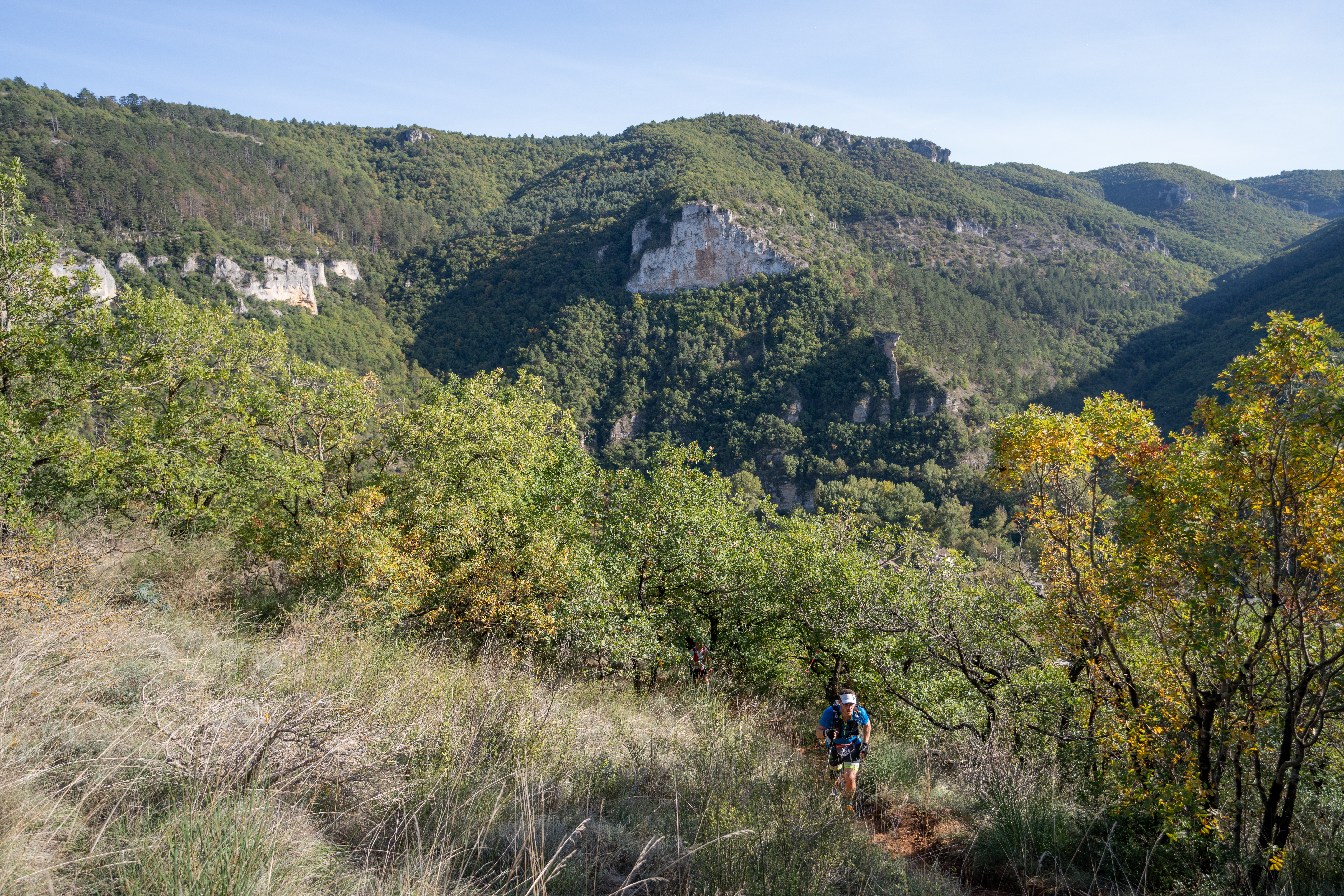Festival des Templiers 2024