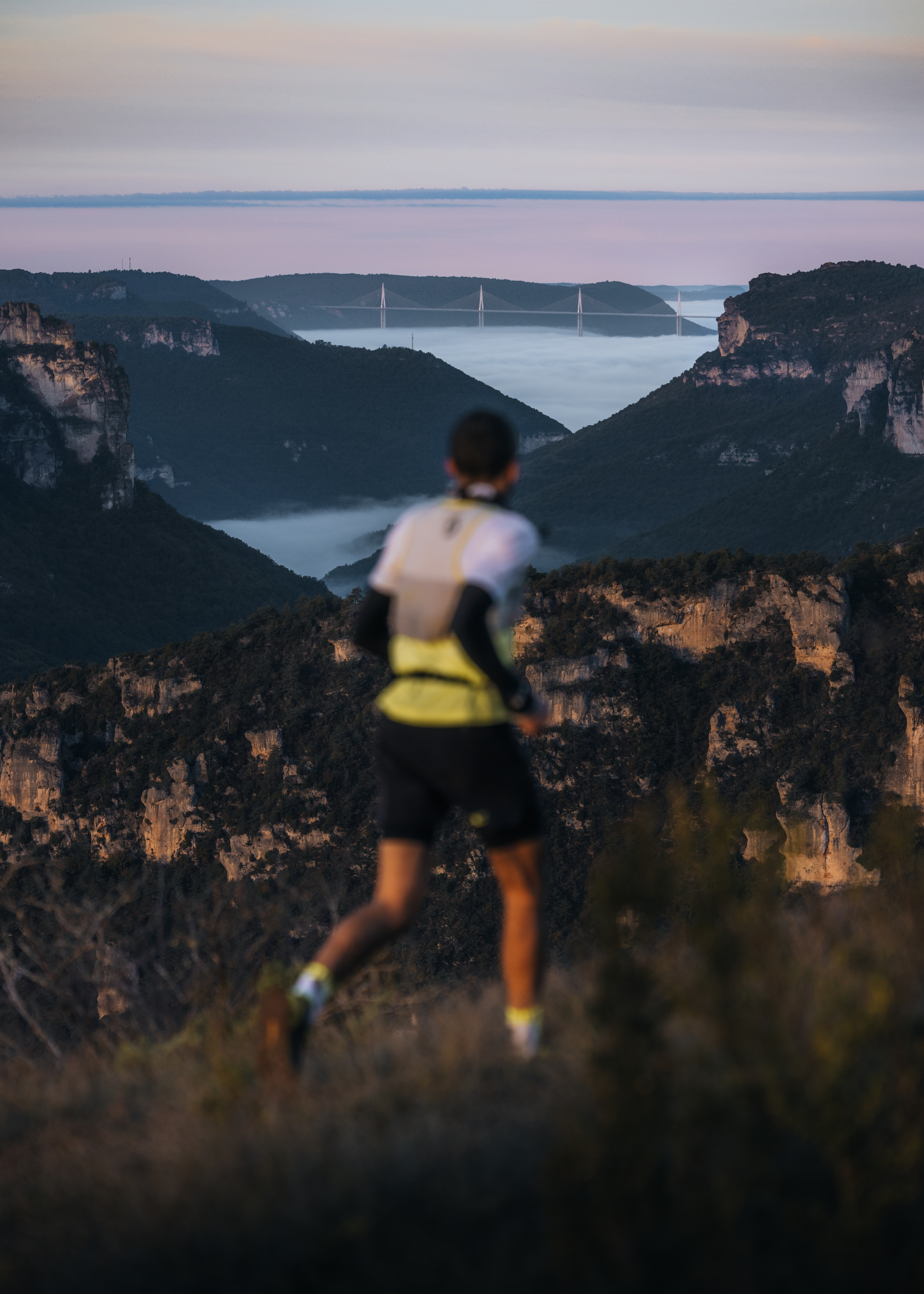 Festival des Templiers 2024