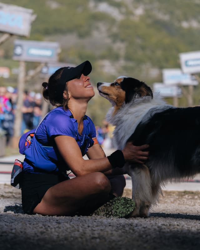 Festival des Templiers 2024