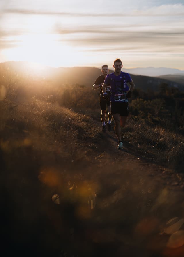 Festival des Templiers 2024