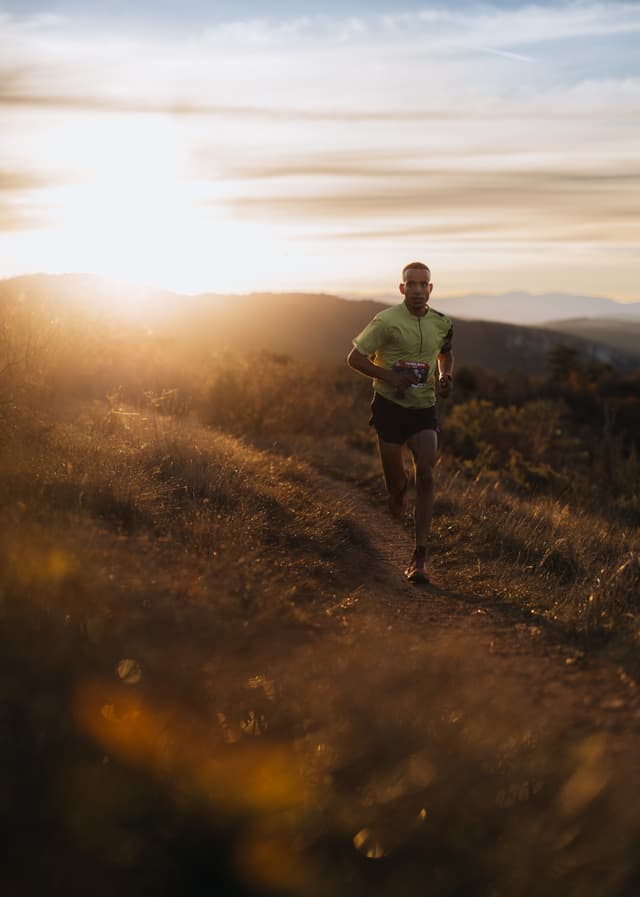 Festival des Templiers 2024