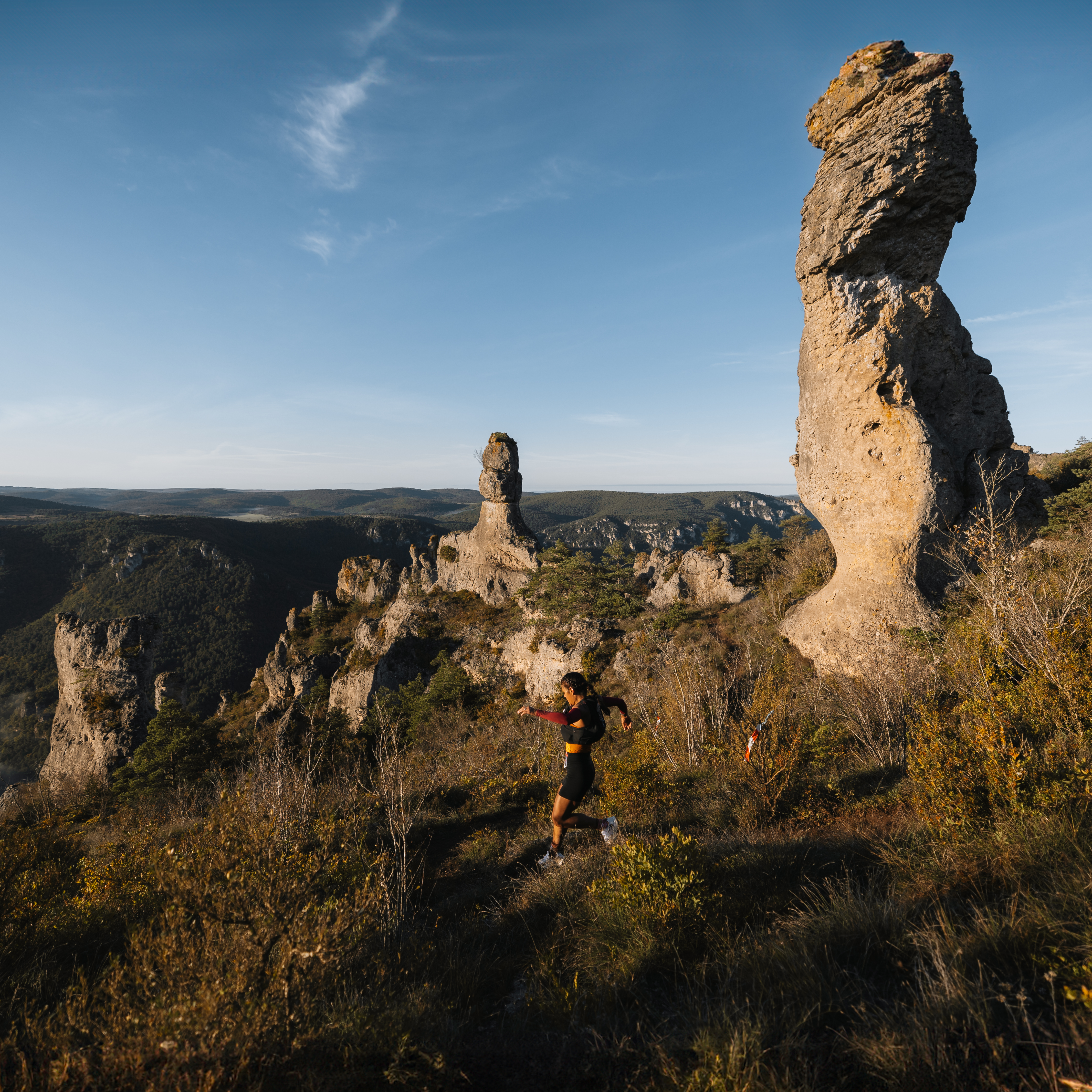 Festival des Templiers 2024