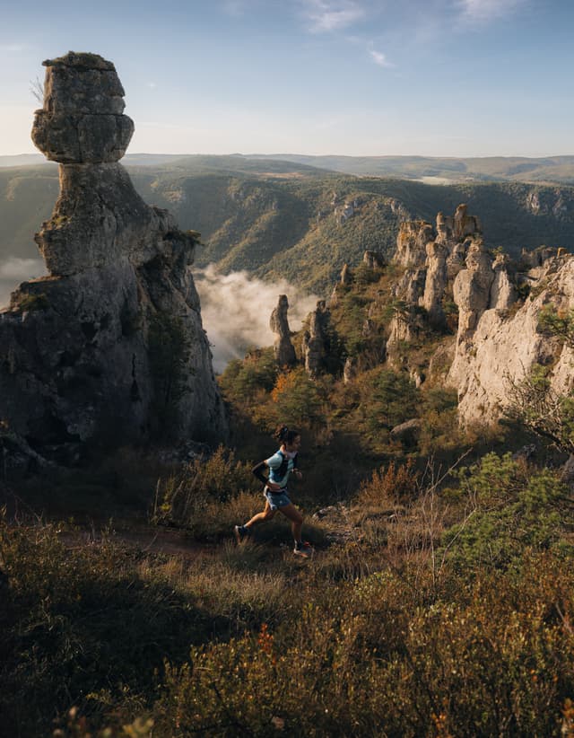Festival des Templiers 2024