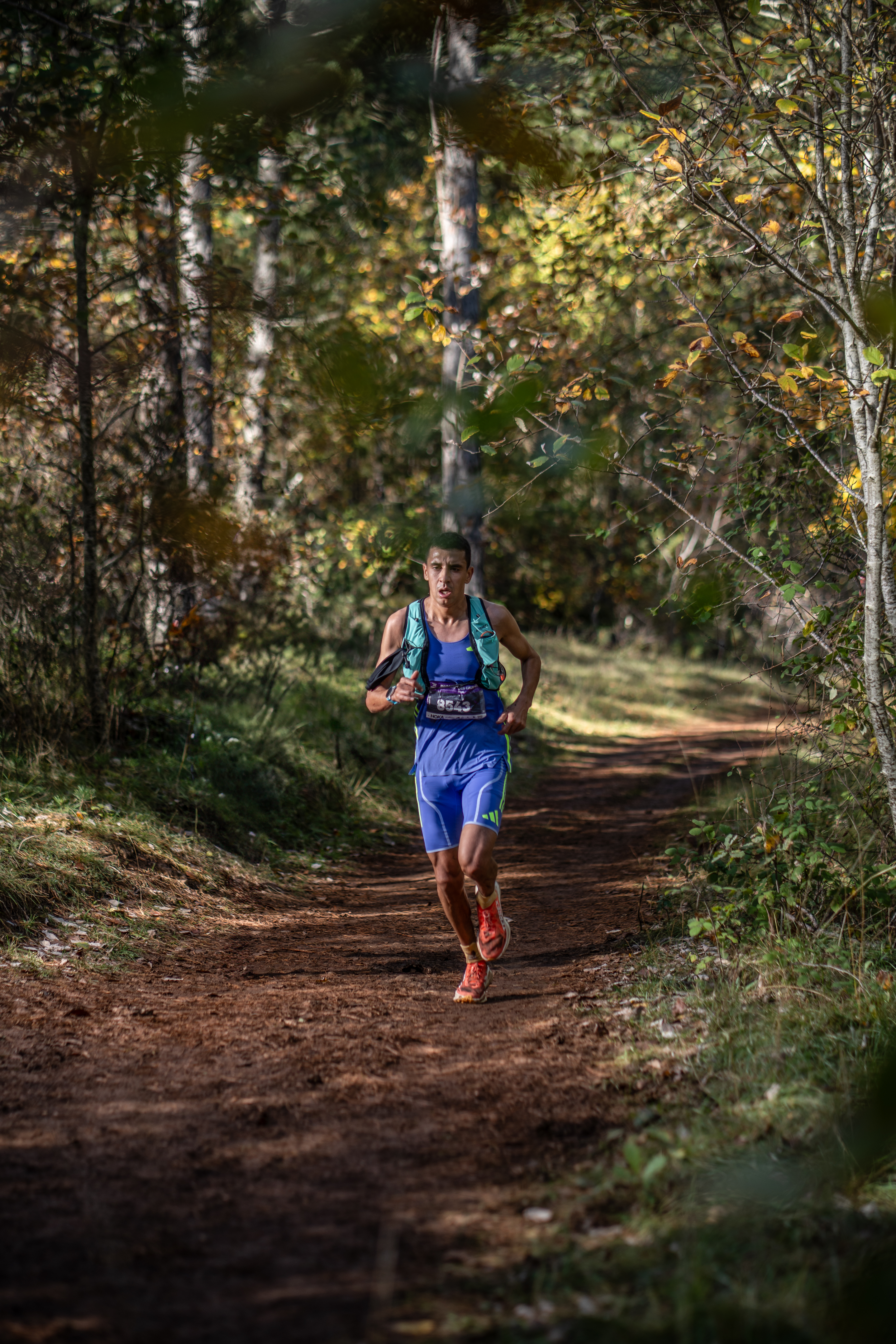 Festival des Templiers 2024
