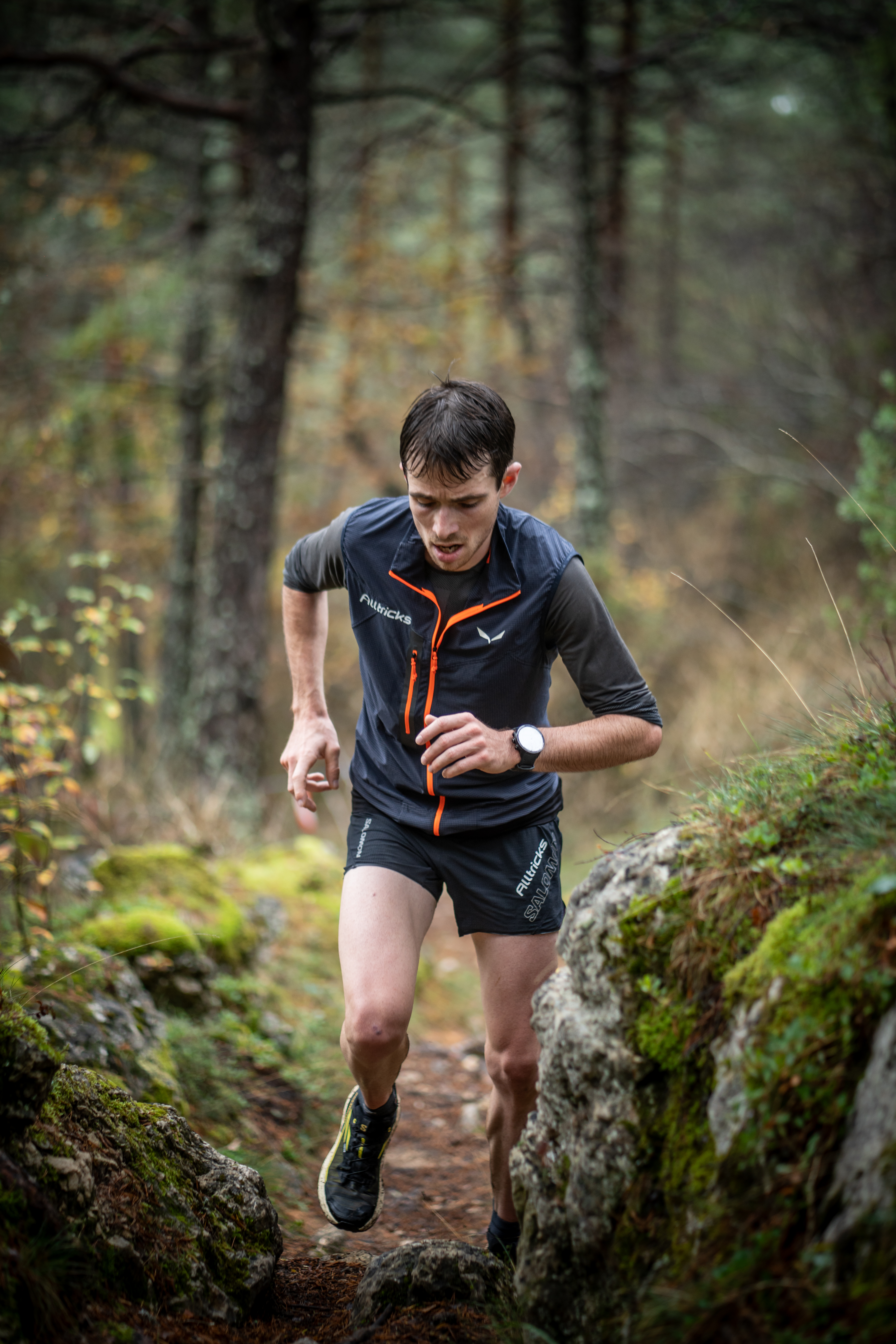 Festival des Templiers 2024
