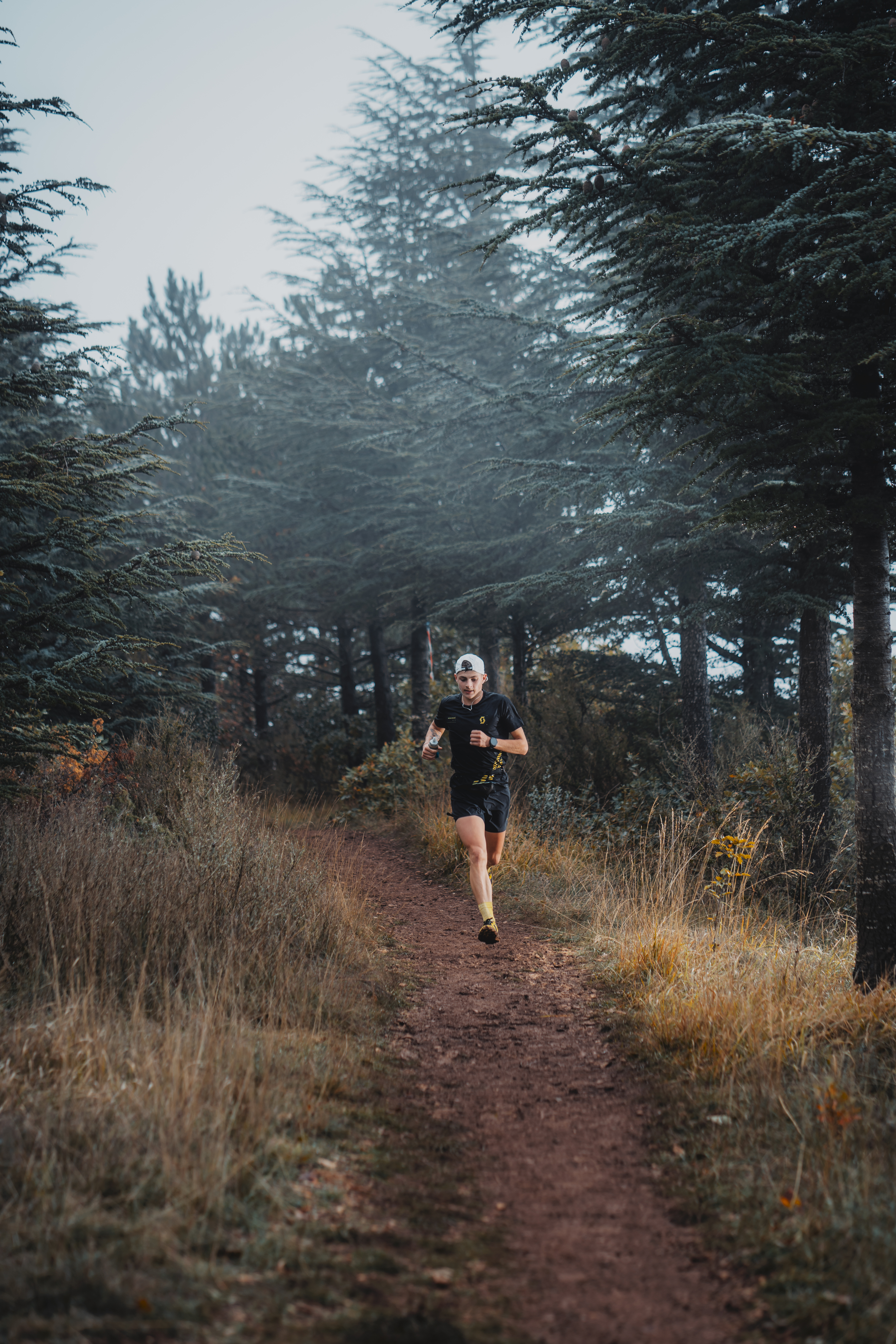 Festival des Templiers 2024
