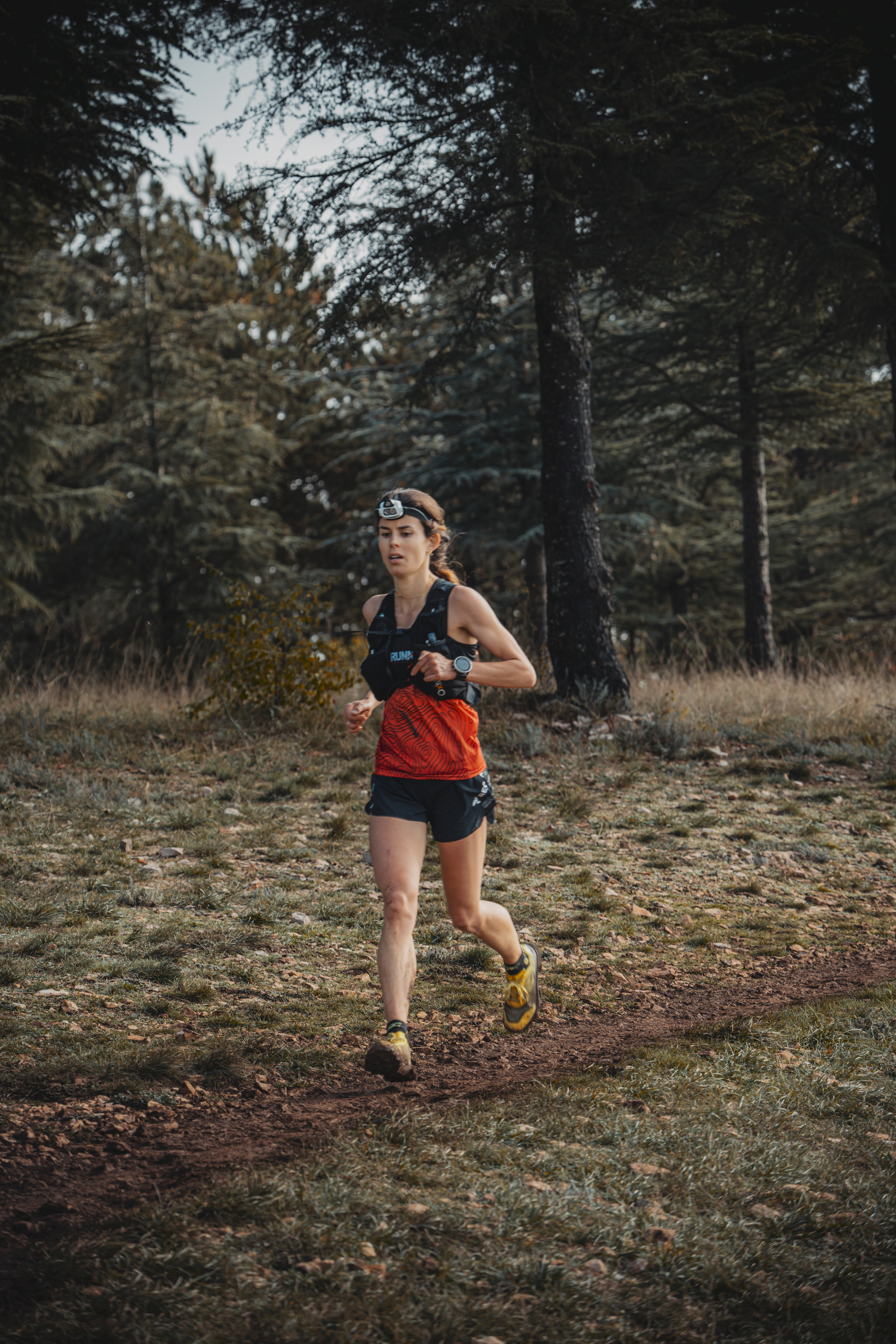 Festival des Templiers 2024