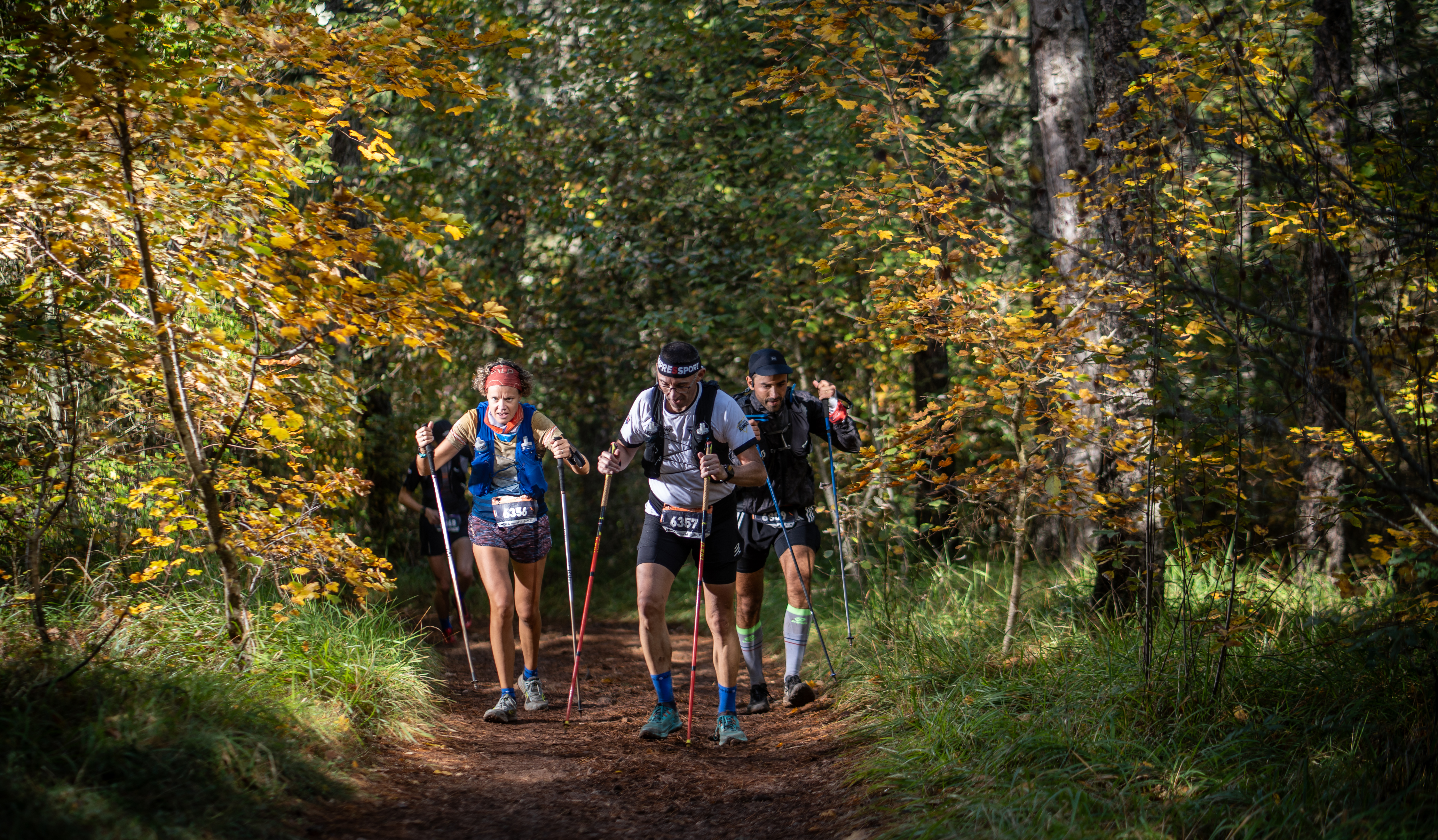 Festival des Templiers 2024