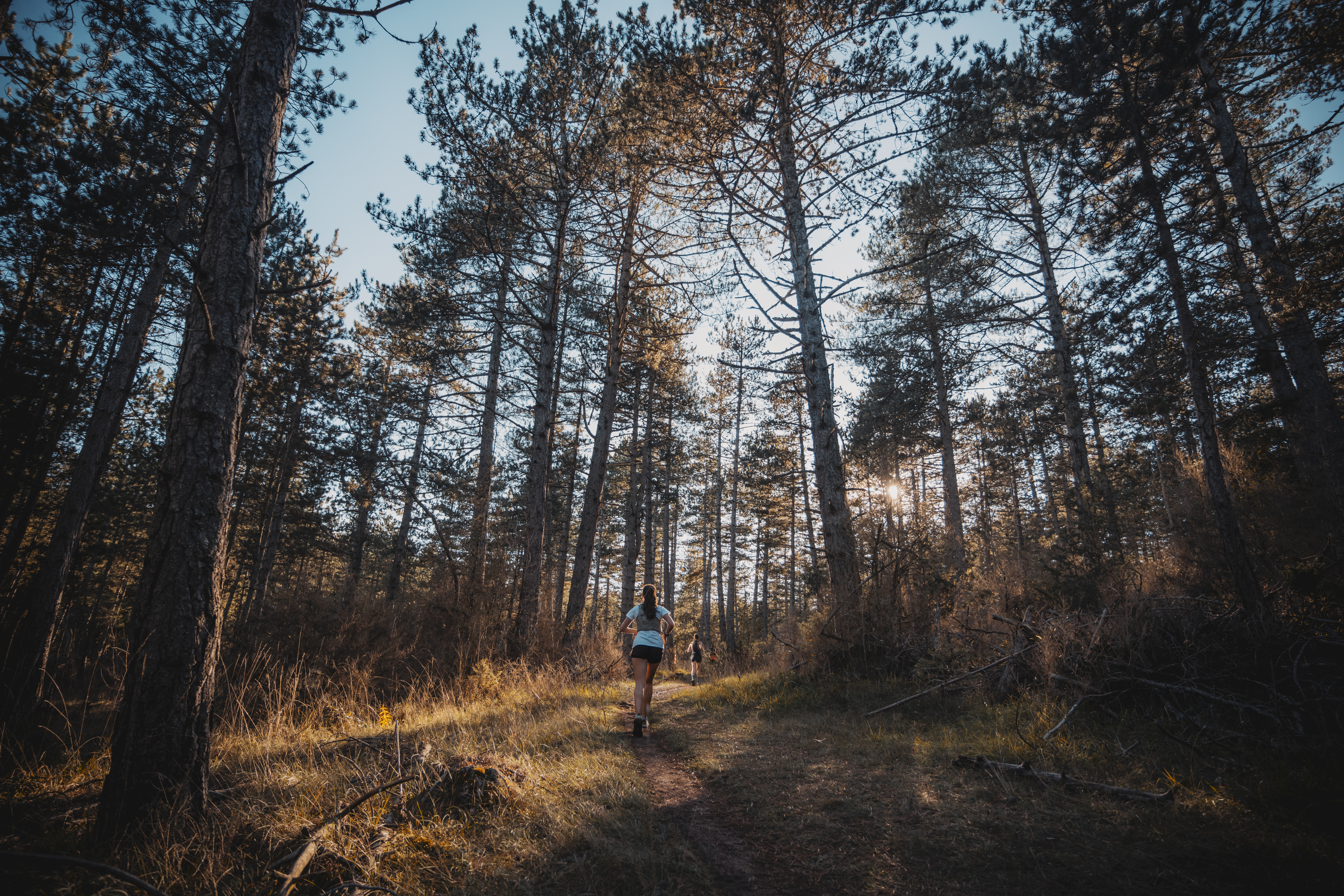 Festival des Templiers 2024