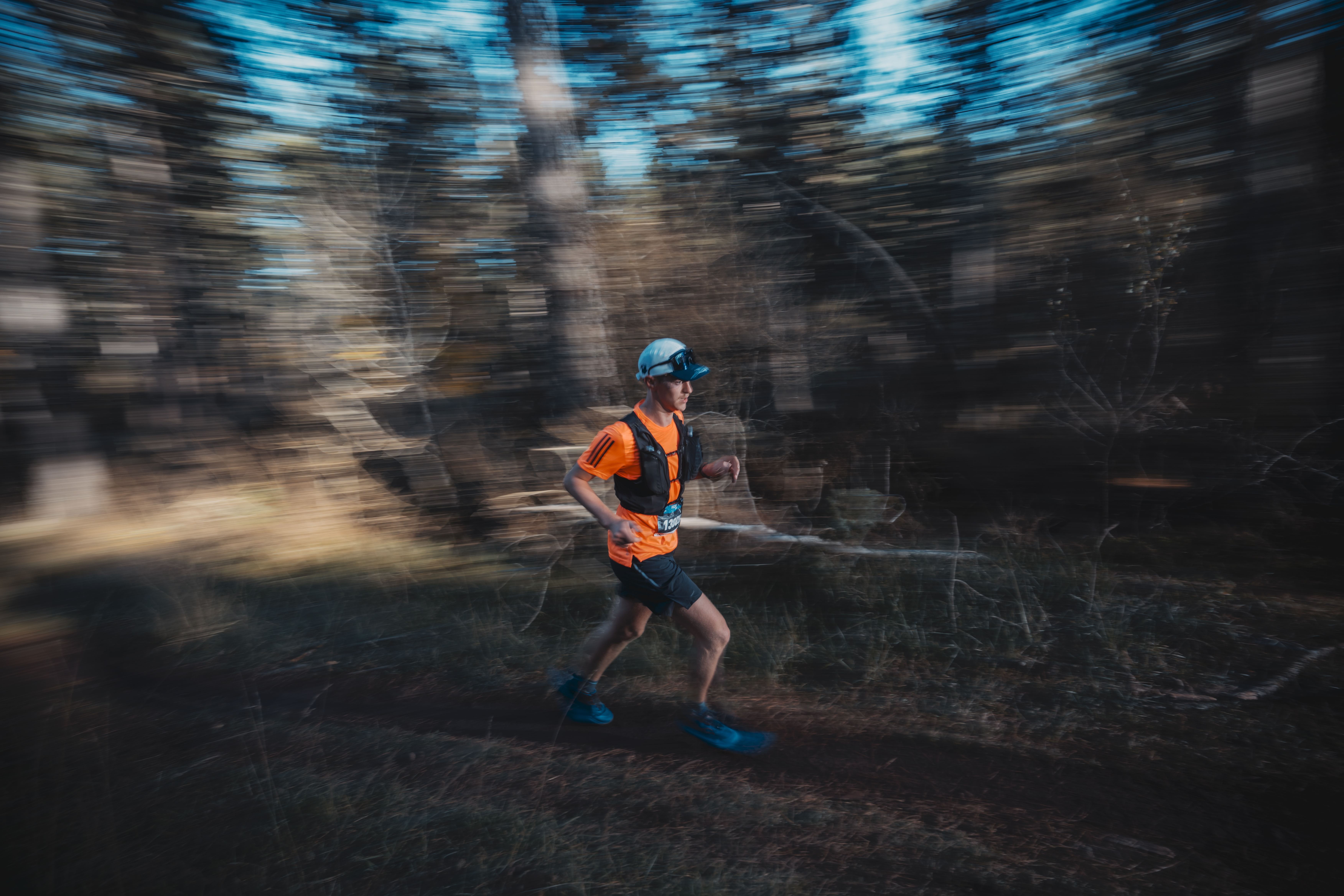 Festival des Templiers 2024