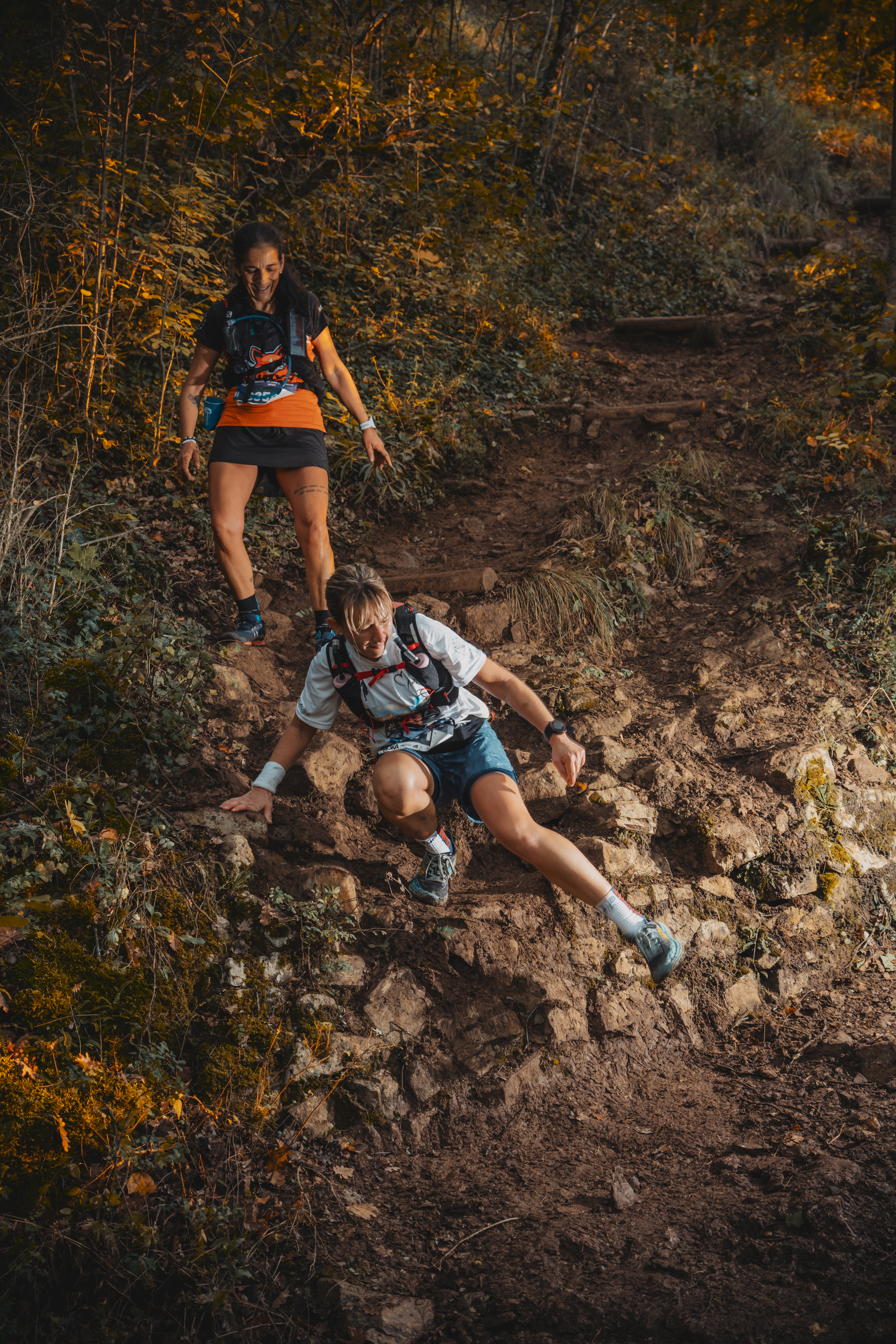Festival des Templiers 2024