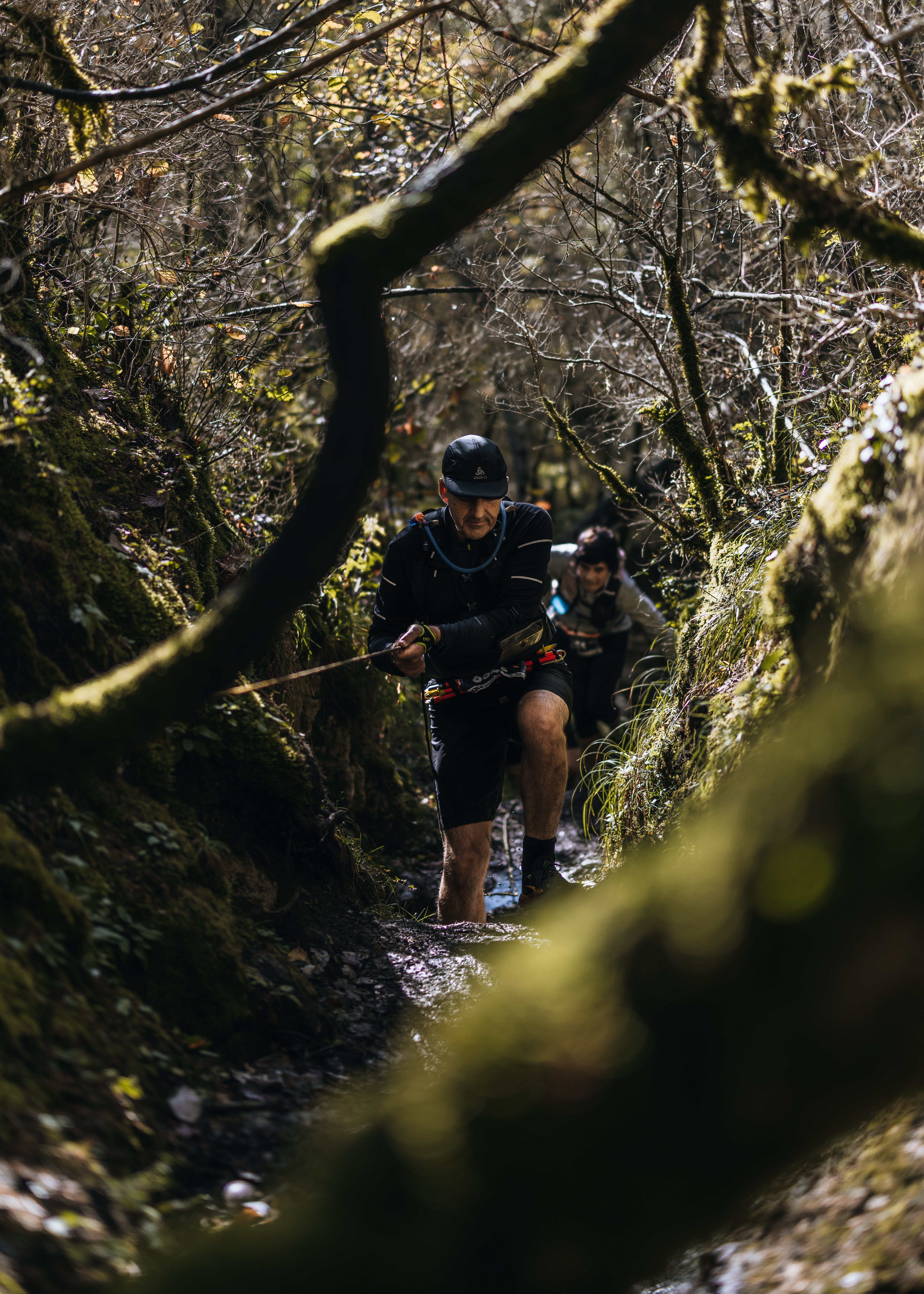 Festival des Templiers 2024
