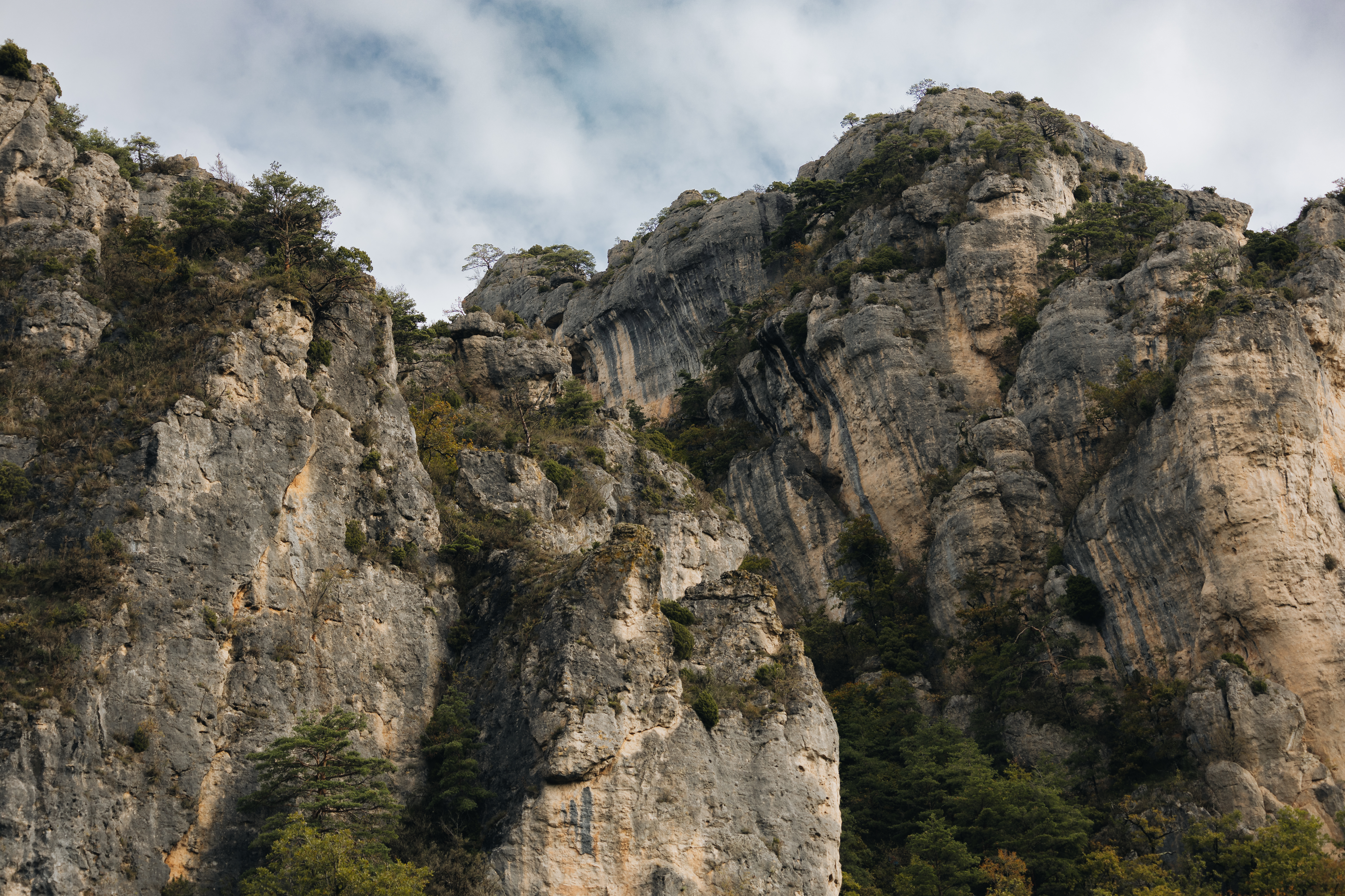 Festival des Templiers 2024