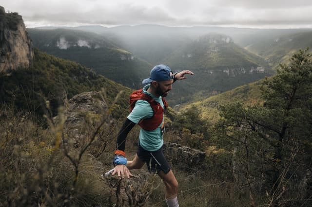 Festival des Templiers 2024