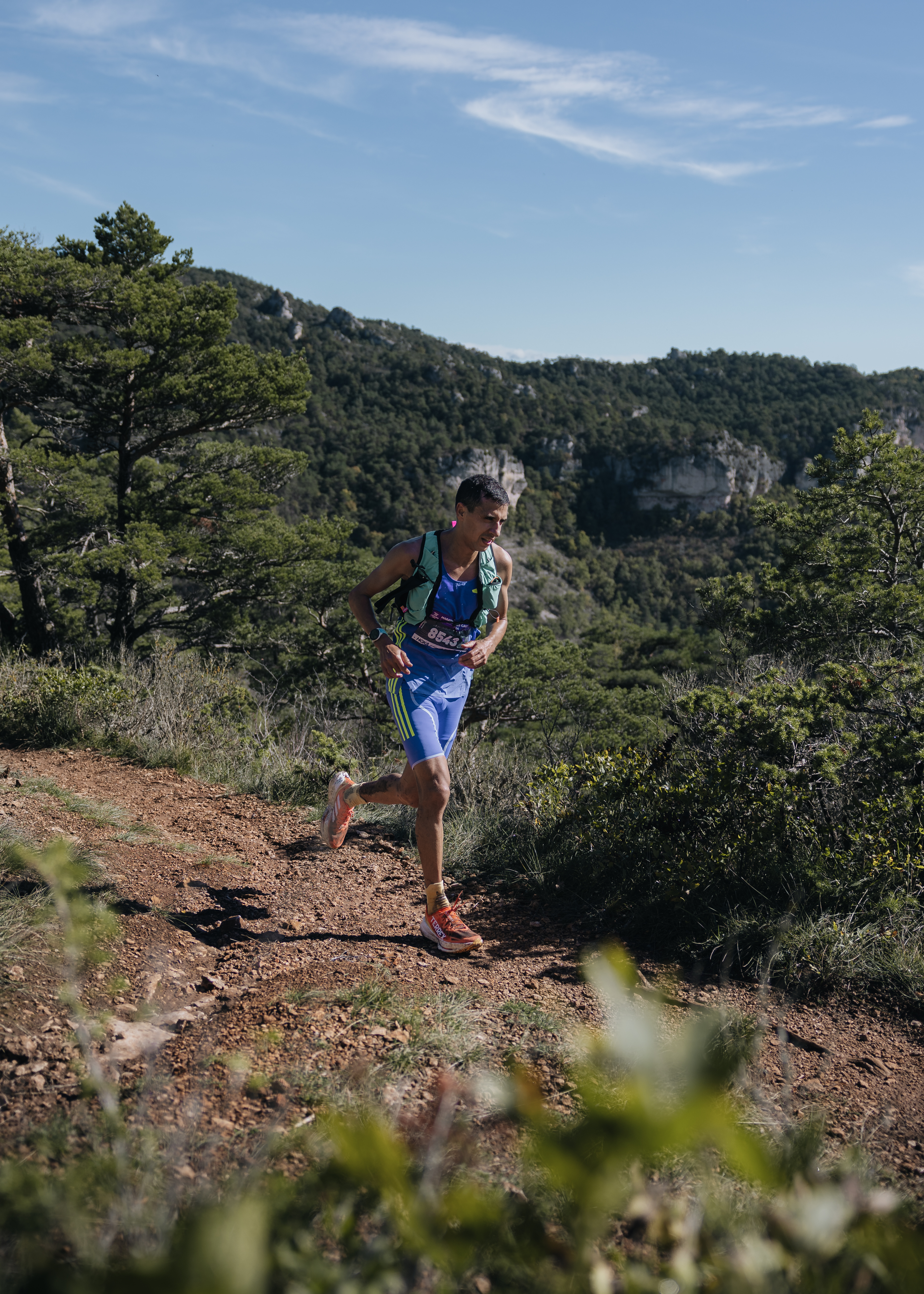 Festival des Templiers 2024