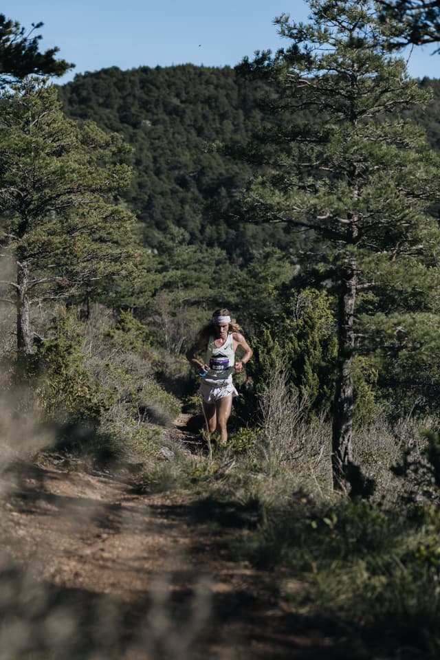 Festival des Templiers 2024