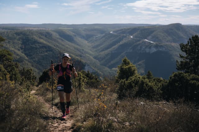 Festival des Templiers 2024